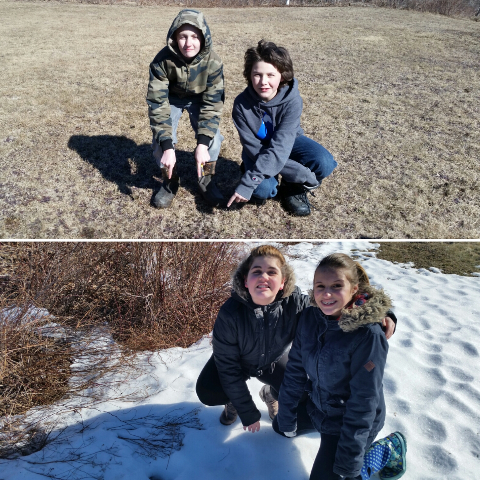 More discoveries of deer tracks and scat!
