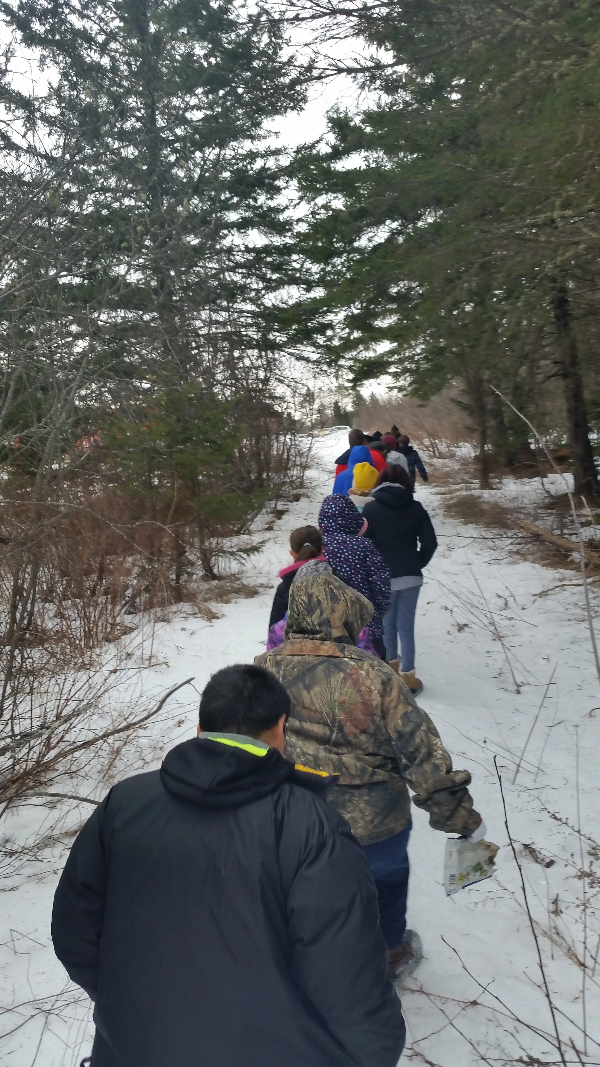 A silent walk to find birds