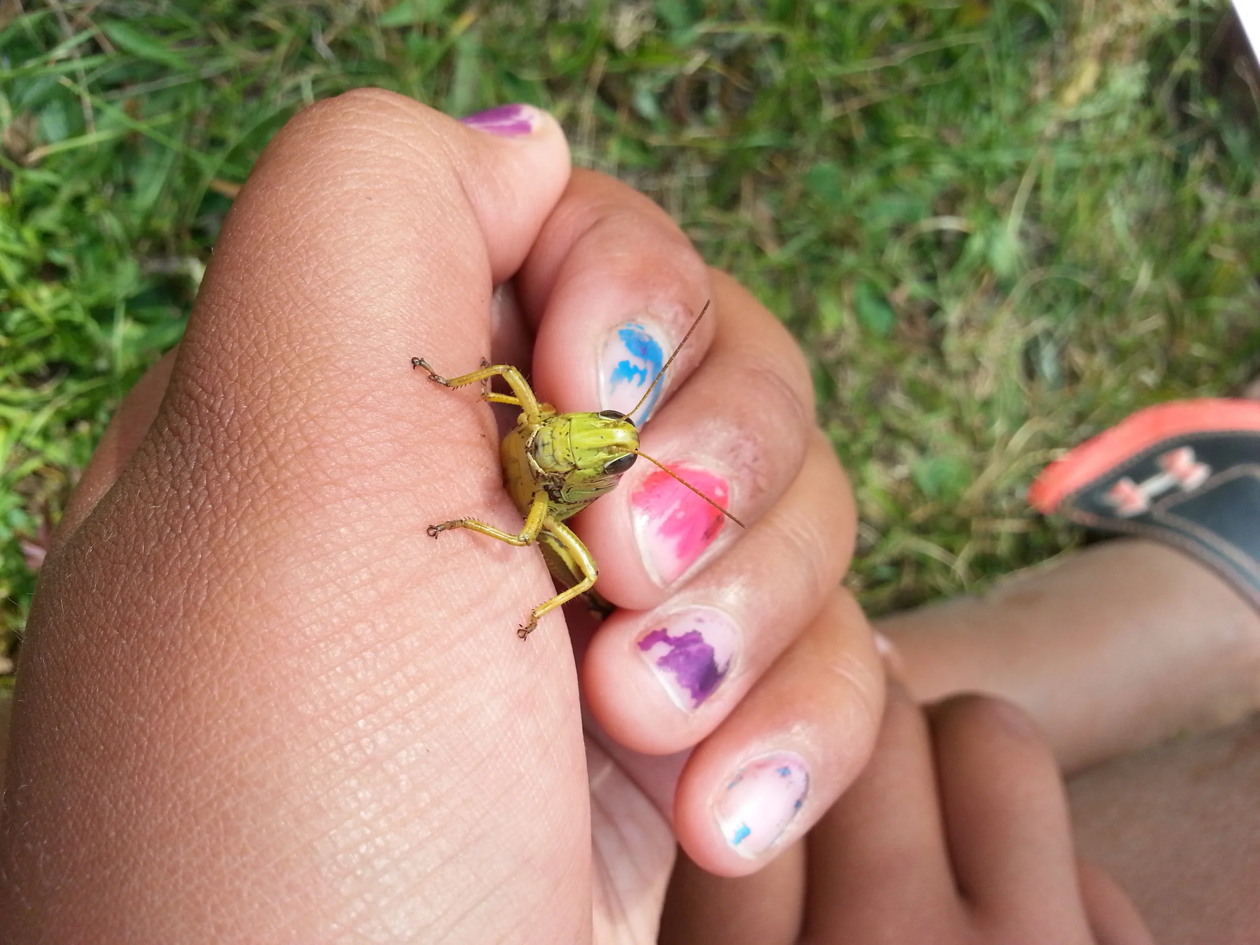 20160810_102643.jpg