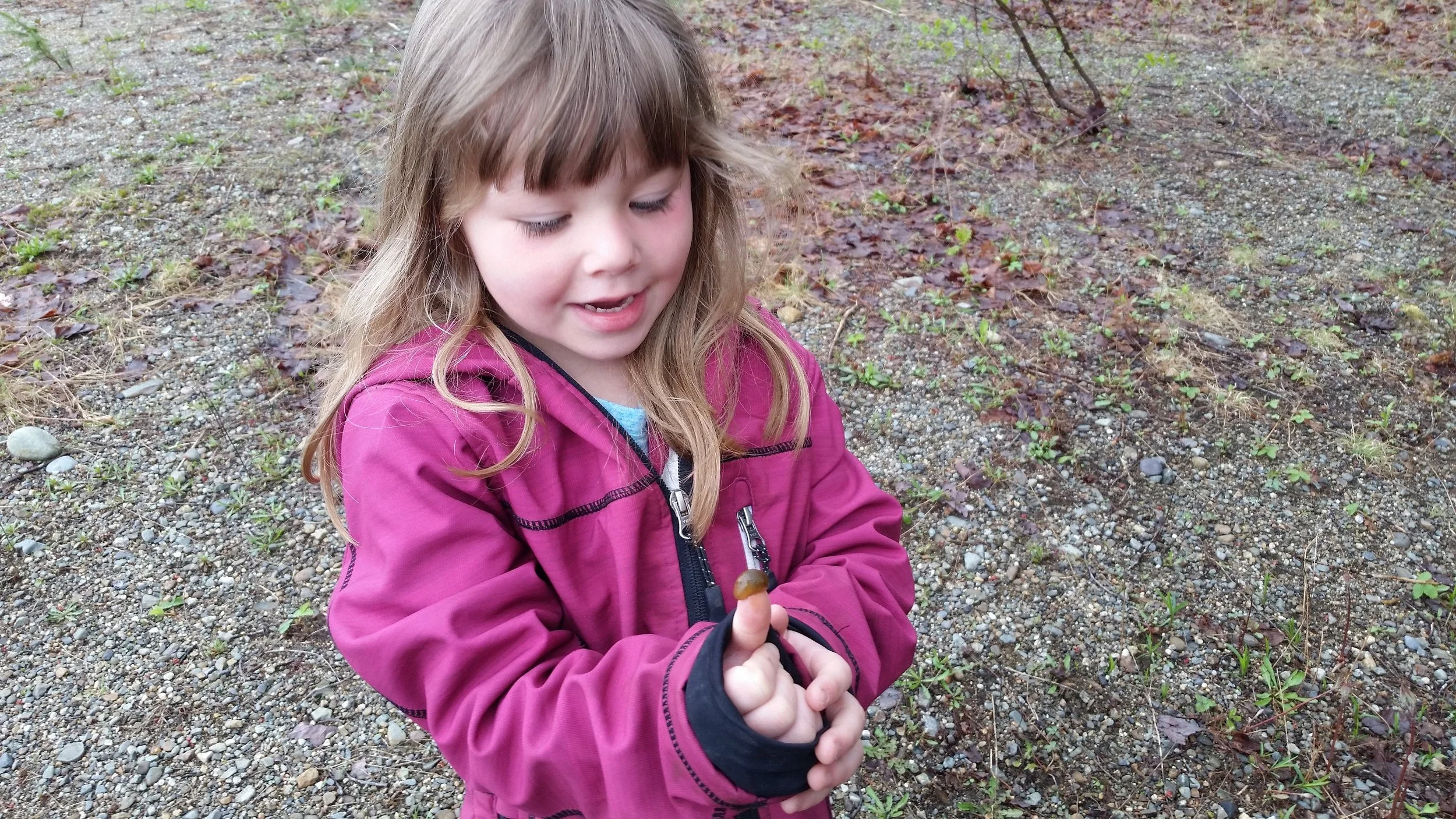 D.W. Merritt Elementary School Addison, Maine "MOS was the highlight of my students' week; they had a blast and learned a lot!" -Nancy McCarthy, Pre-K teacher at D.W. Merritt Elementary School, 2017 (Read more here )