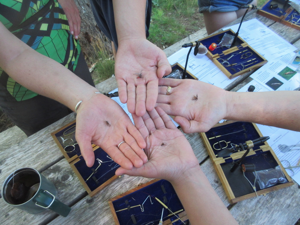 An assortment of size 14 soft hackle wet flies tied by participants. Photo courtesy of Maria McMorrow.
