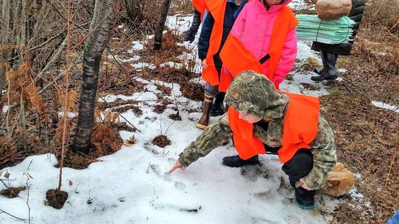 Jonesport student observing a snowshoe hare track