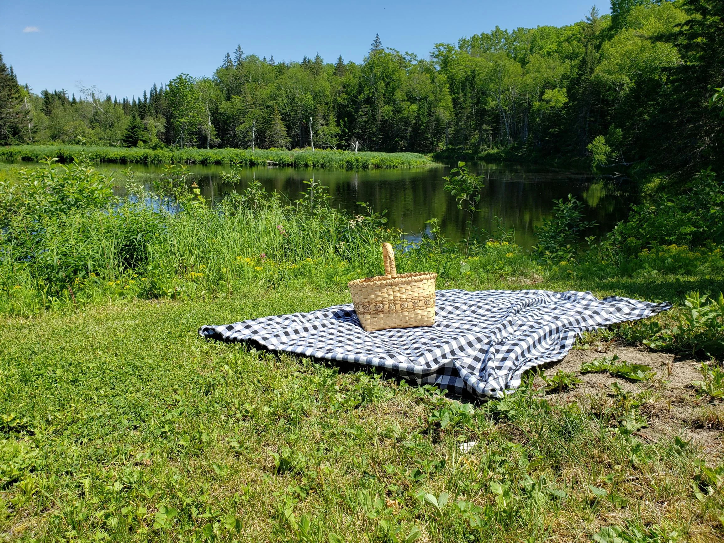 Picnic with a View med.jpg