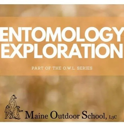 ENTOMOLOGY EXPLORATION