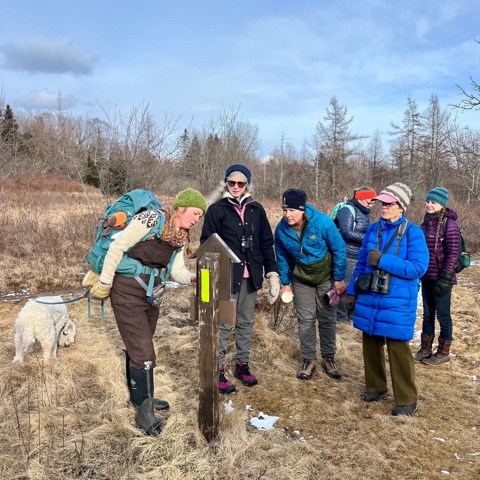 Did you know there are two amazing upcoming OWL events this month?

Our OWL Outing Club will be hiking the Cutler Bold Coast Trail this Sunday (rescheduled from Saturday due to weather forecast) and next weekend (4/27-4/28) we have our two day Orient
