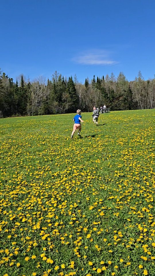 There's nothing quite like running through a field absolutely exploding with dandelions!
These Cave Hill PreK & K students later made dandelion bracelets.
This program series that started weekly in January thanks to our partnership with @frenc
