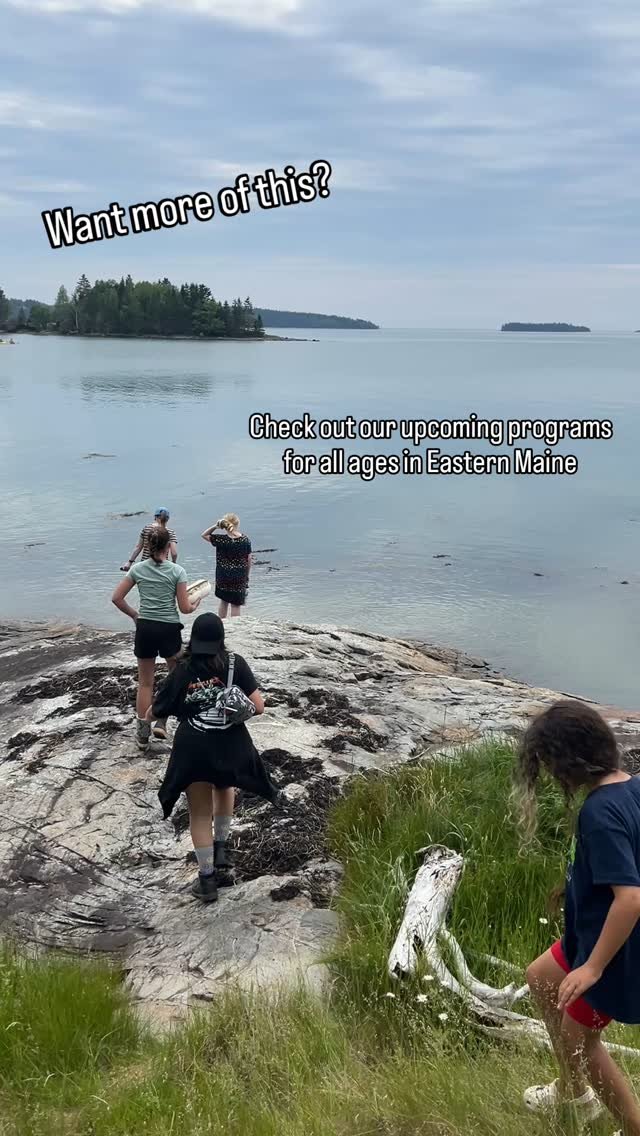 For a taste of that outdoor freedom and restoration, visit our Events page (link in bio or at maineoutdoorschool.org/events). So many opportunities for all people of all ages, from Camden to Bangor to Ellsworth and MDI. See you outside!