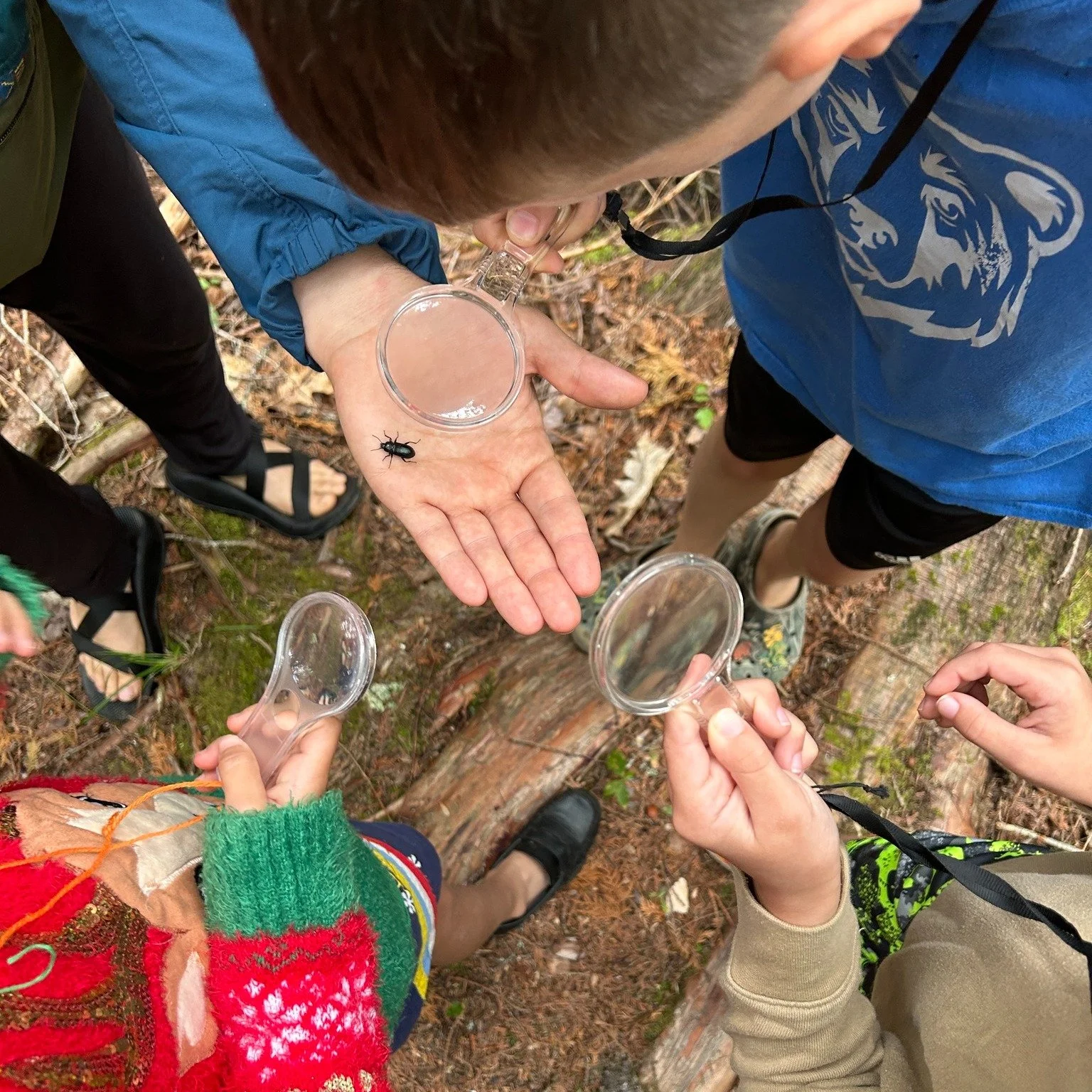 Did you know this fall marks the beginning of Maine Outdoor School's 10th school year?
We are very excited to be spending it with so many schools, and if you are still hoping to schedule with us before the winter, please contact us, link in bio.
(Ph