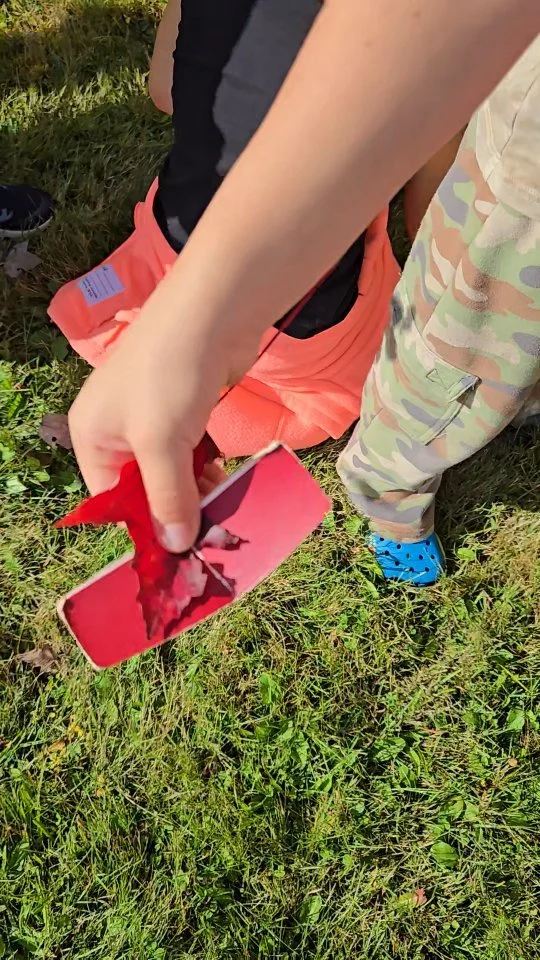 The leaves are changing color fast! ๐
These kindergarteners at Mountain View School tried to see how many colors they could find this morning thanks to this program series made possible by @frenchmanbayconservancy ๐