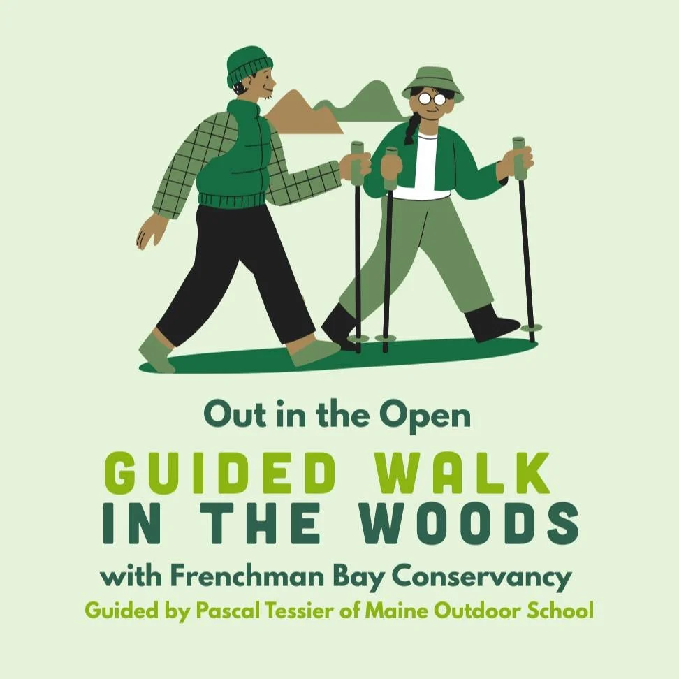 Come along on a guided walk to learn about tree identification and to build community with LGBTQ+ people in Hancock County on Saturday, October 11th!
This hike is in collaboration with Out in the Open and Frenchman Bay Conservancy.
FMI and to reg