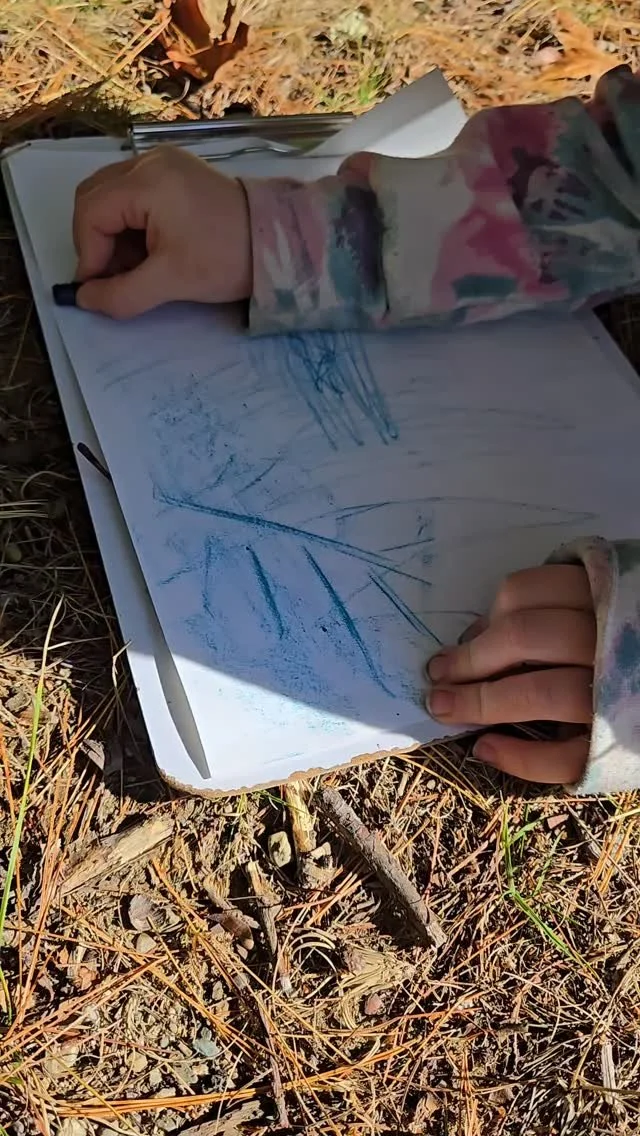 Peak foliage week means it's a great time to make some leaf rubbings no matter how old you are!
These first graders at Hancock Grammar School yesterday learned about the purpose of leaves and why they fall thanks to our collaboration with @crabtree