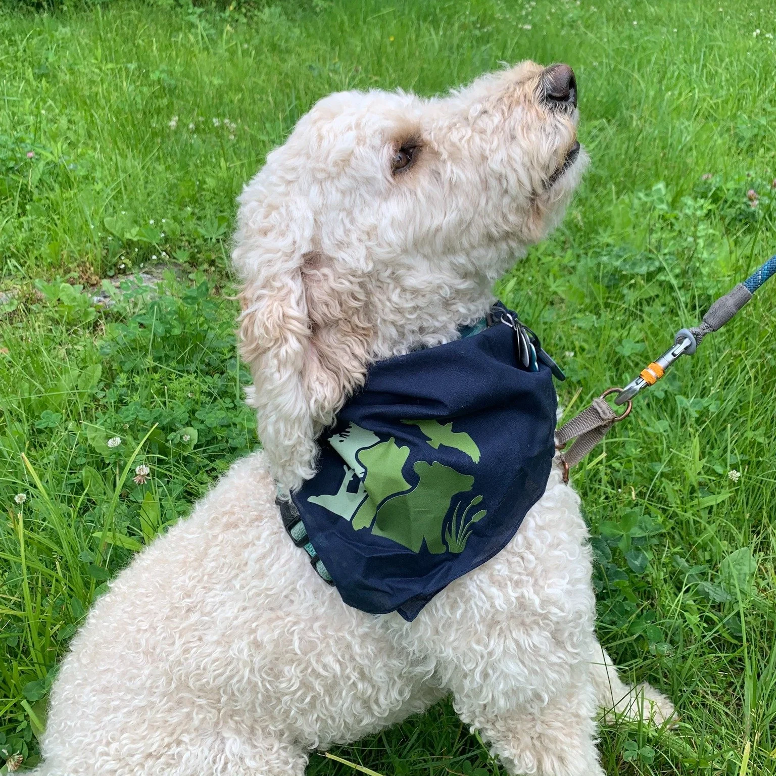 We want photos of you!

Have you purchased merchandise from Maine Outdoor School's Bonfire store? Take a photo of yourself in your MOS swag and send it to us! Your photo will be featured on our advertising materials, and you will get a little special