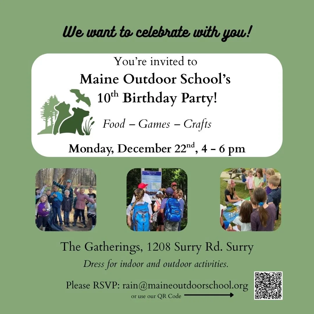 MOS is celebrating 10 years in business, and we want you to join us! 

Whether you have attended one of our public programs, private guiding, professional development workshops, have children in one of our school series, or are just curious about wha