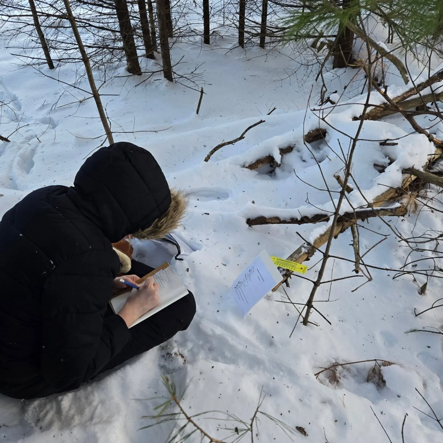 Lamoine 6th grade students were so prepared with winter gear this week that they were able to have recess and outdoor school outside despite the extra cold temperatures! They even sat and worked on their nature journals with short bouts of taking the