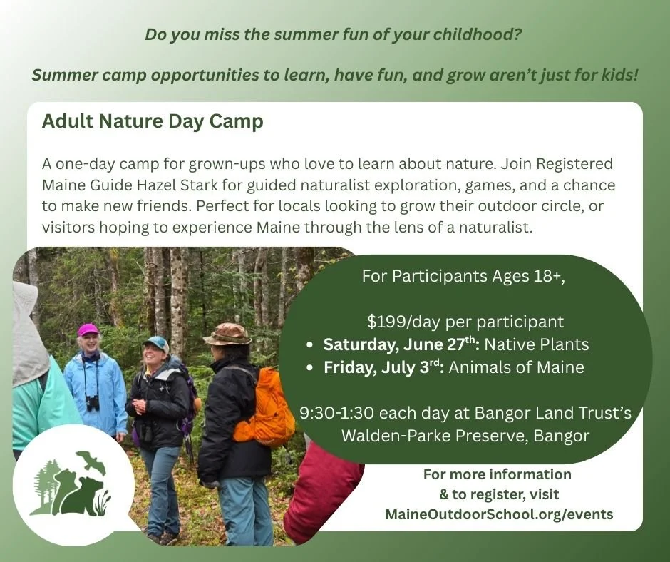 Maine Outdoor School's Adult Day Camp is back! 

Both days will be at @bangorlandtrust's Walden-Parke Preserve and led by Hazel Stark. 

Register today, link in bio