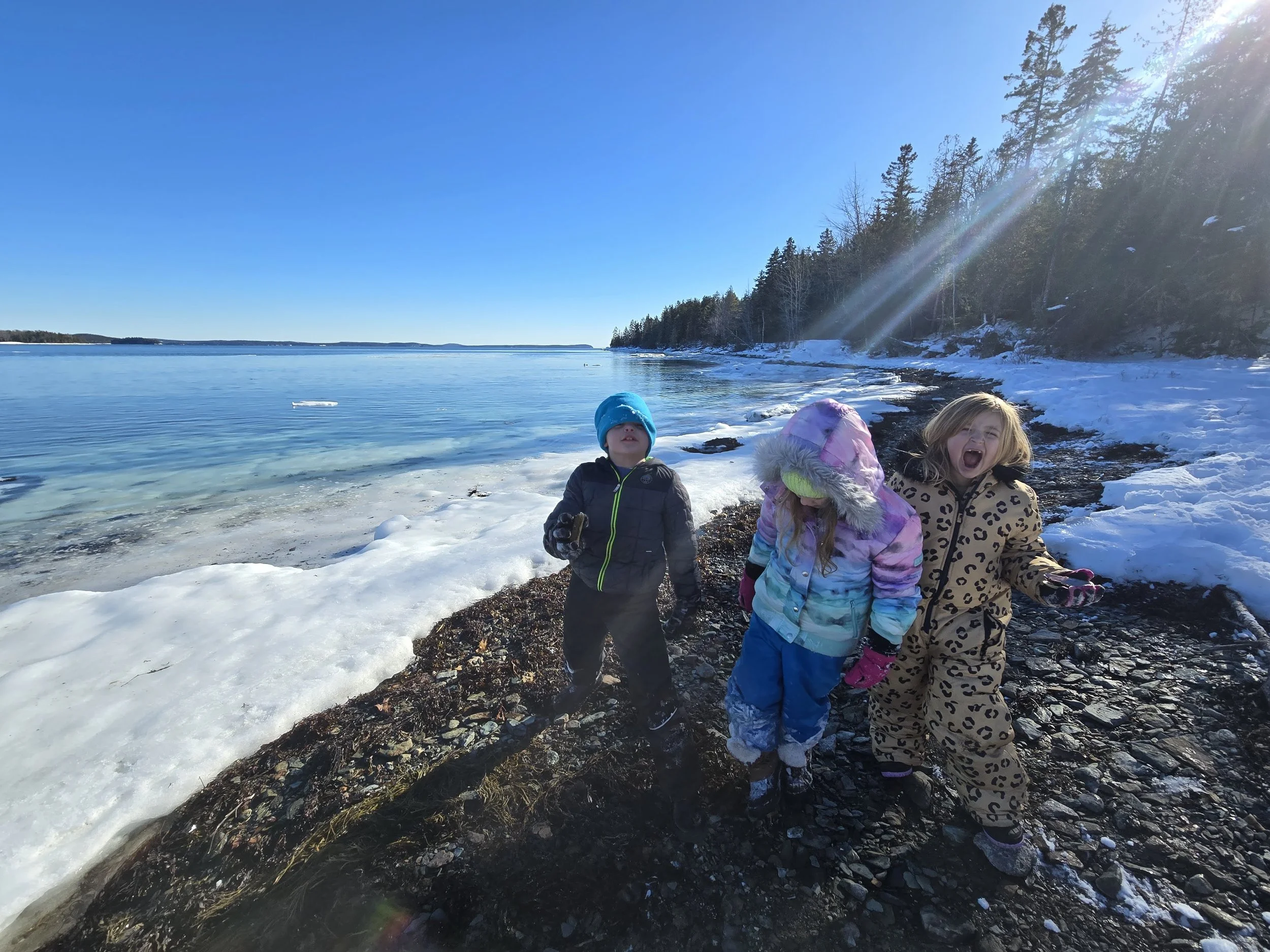 20260203_131920 (1).jpg