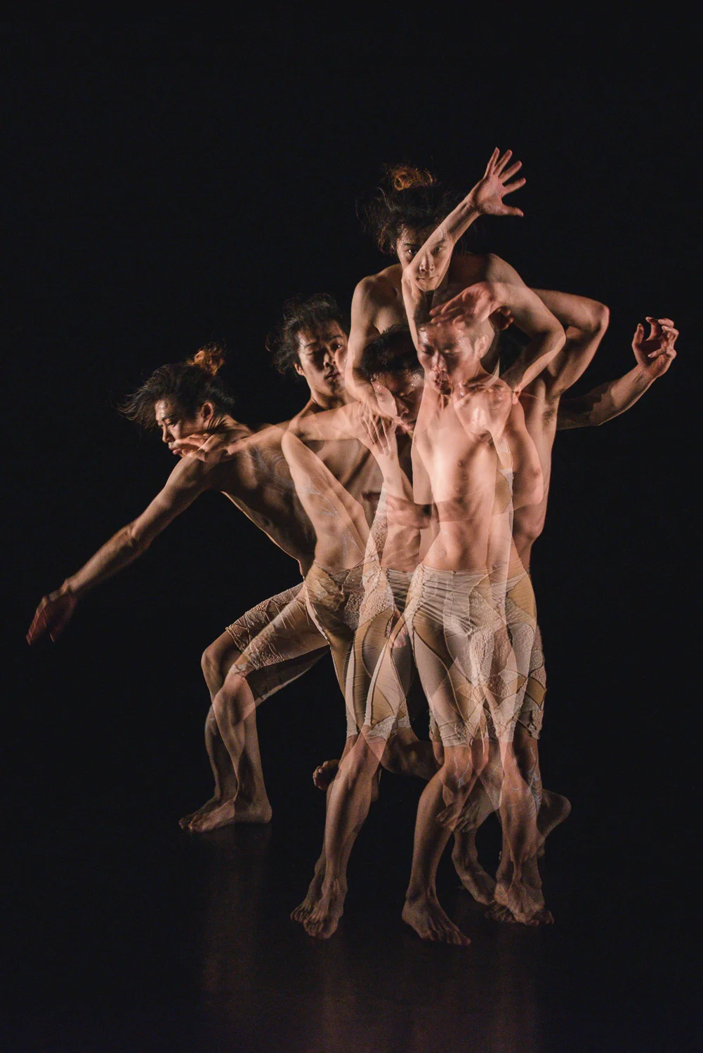 D'Motion International Dance Festival