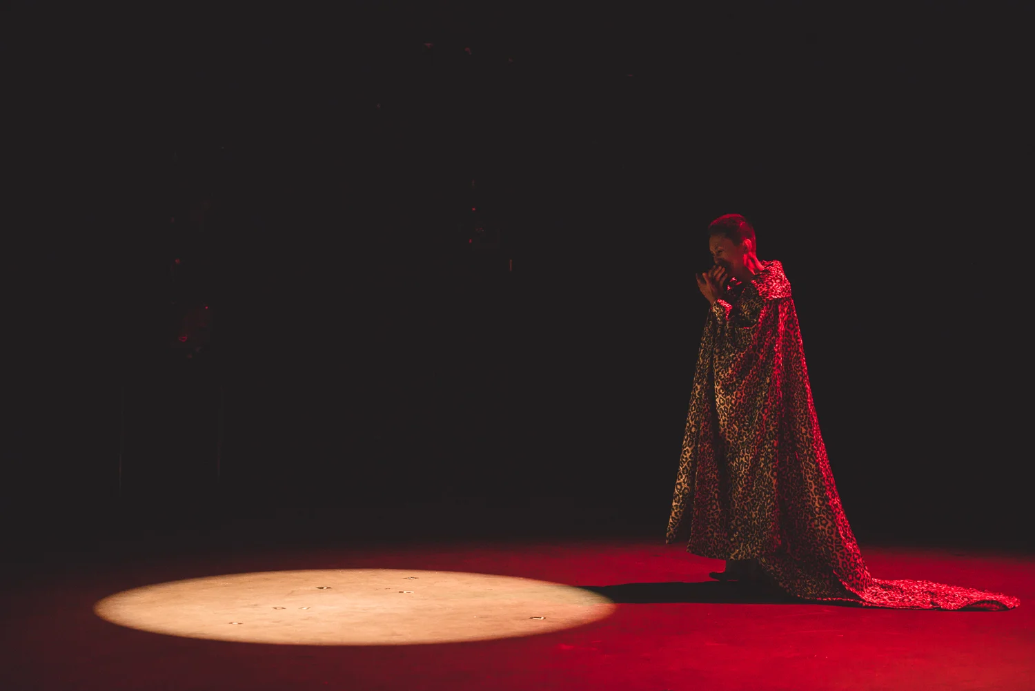 dontletshakespeareknow-156.jpg