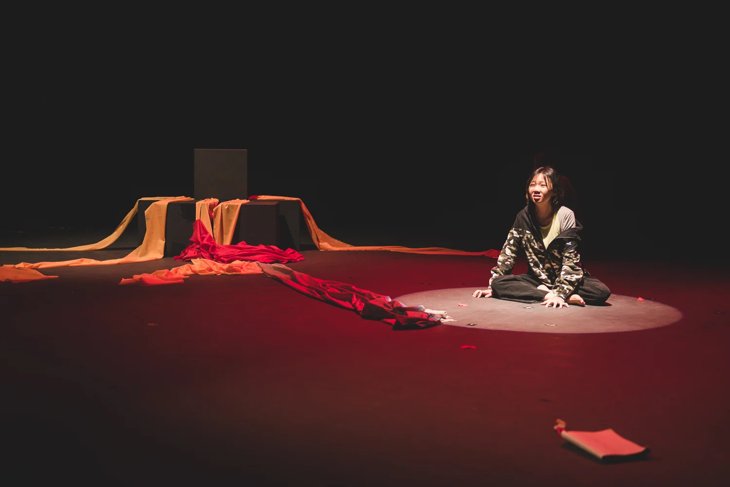 dontletshakespeareknow-025.jpg