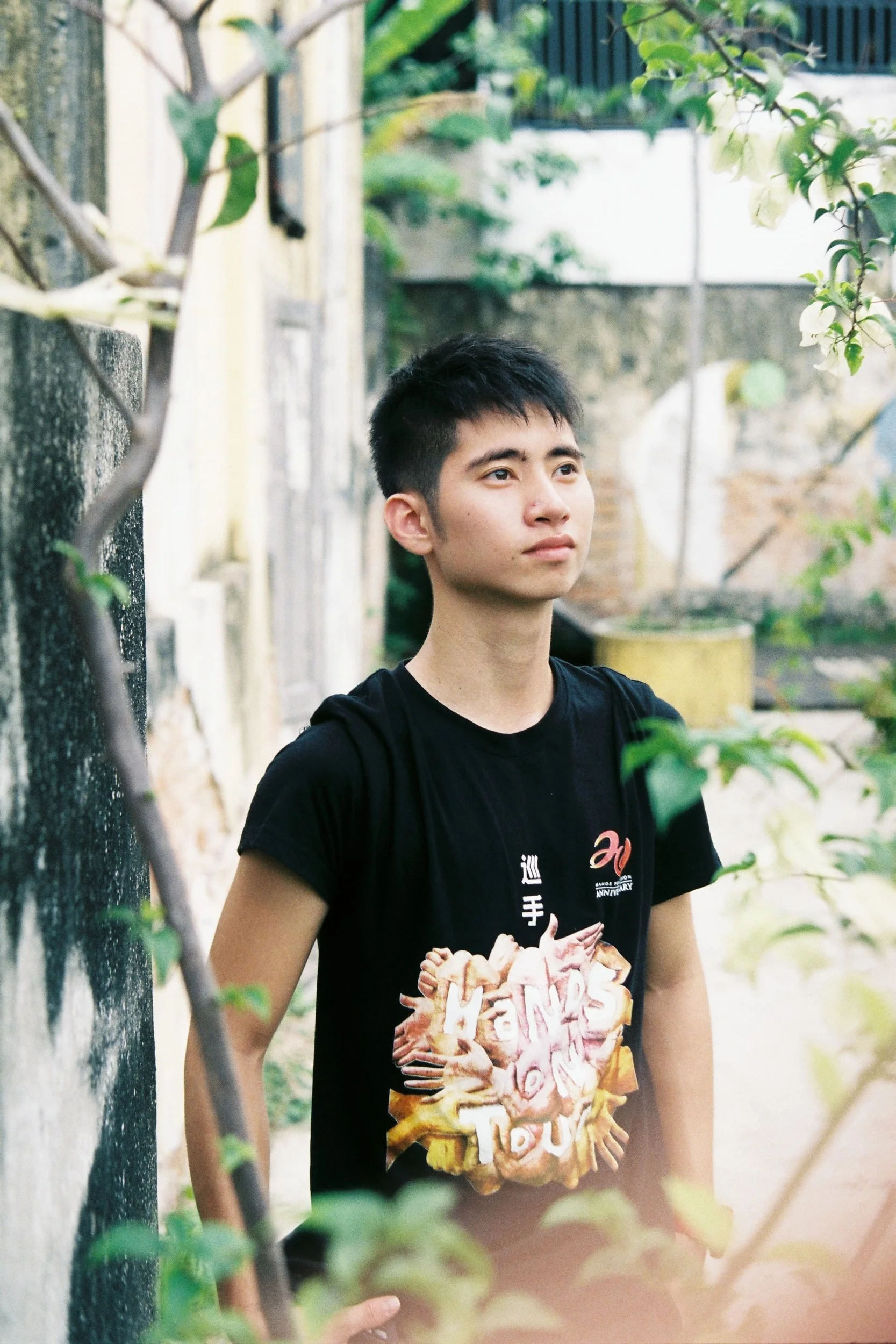 The Model