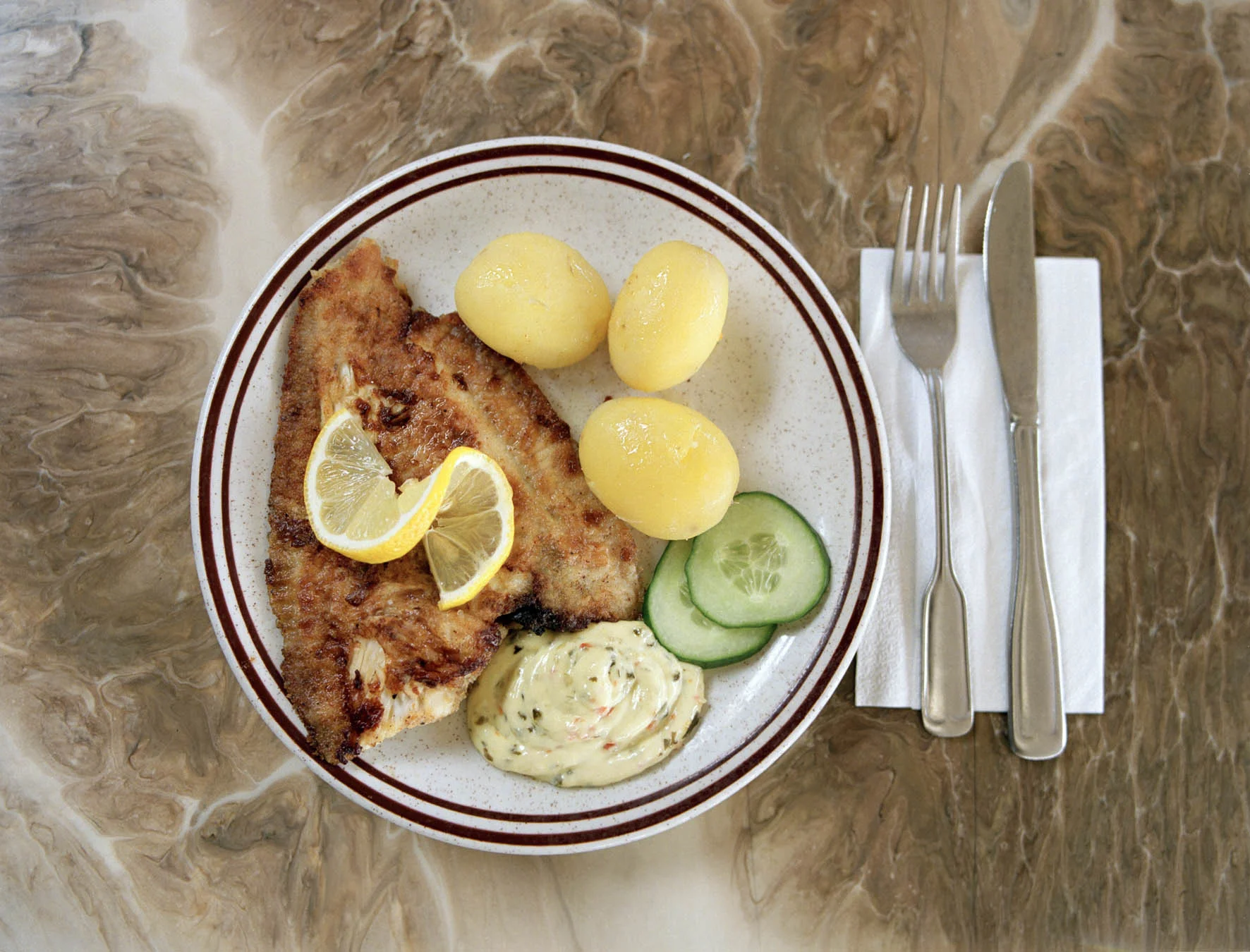    The flounder  - Photo Nils Bergendal  