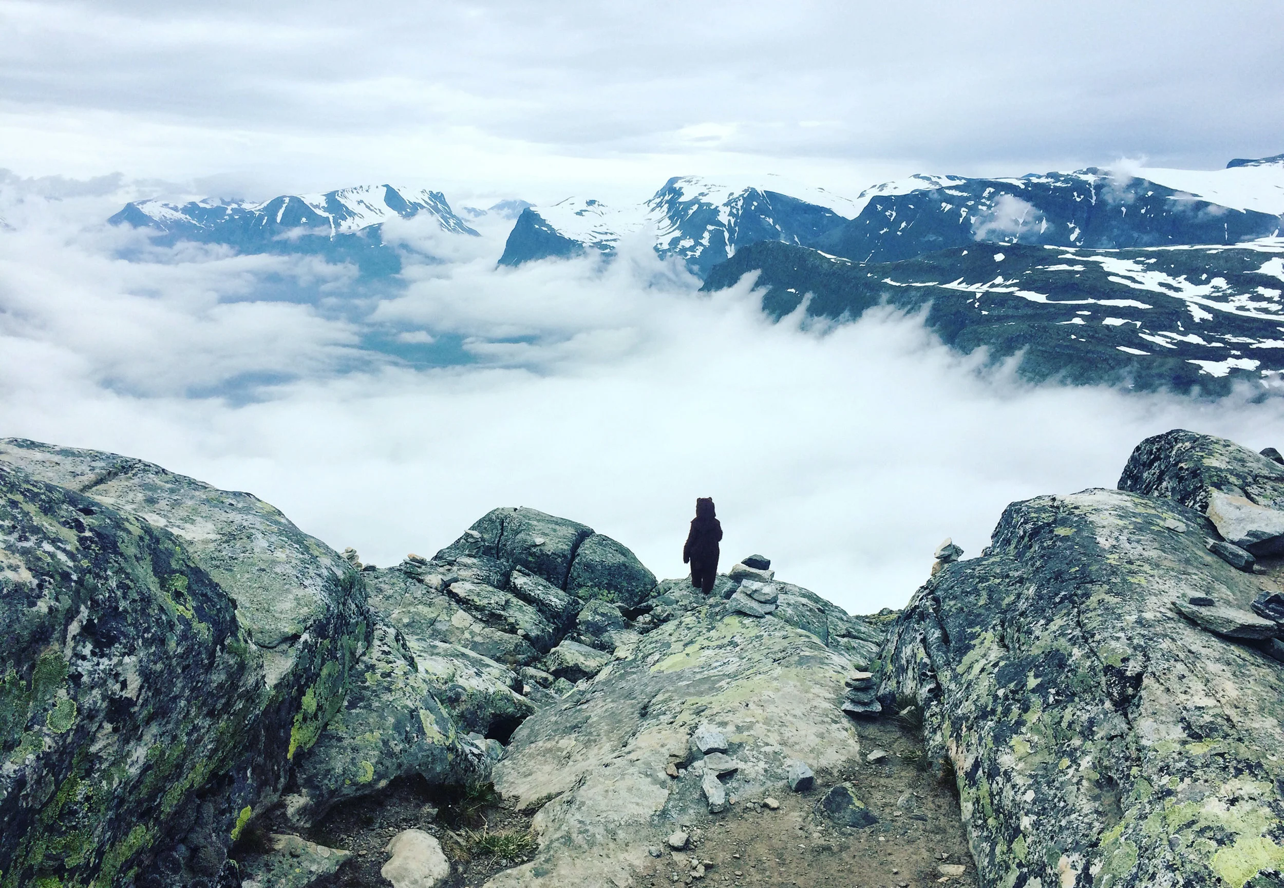    The Bear    - Photo Cecilia Sterner  