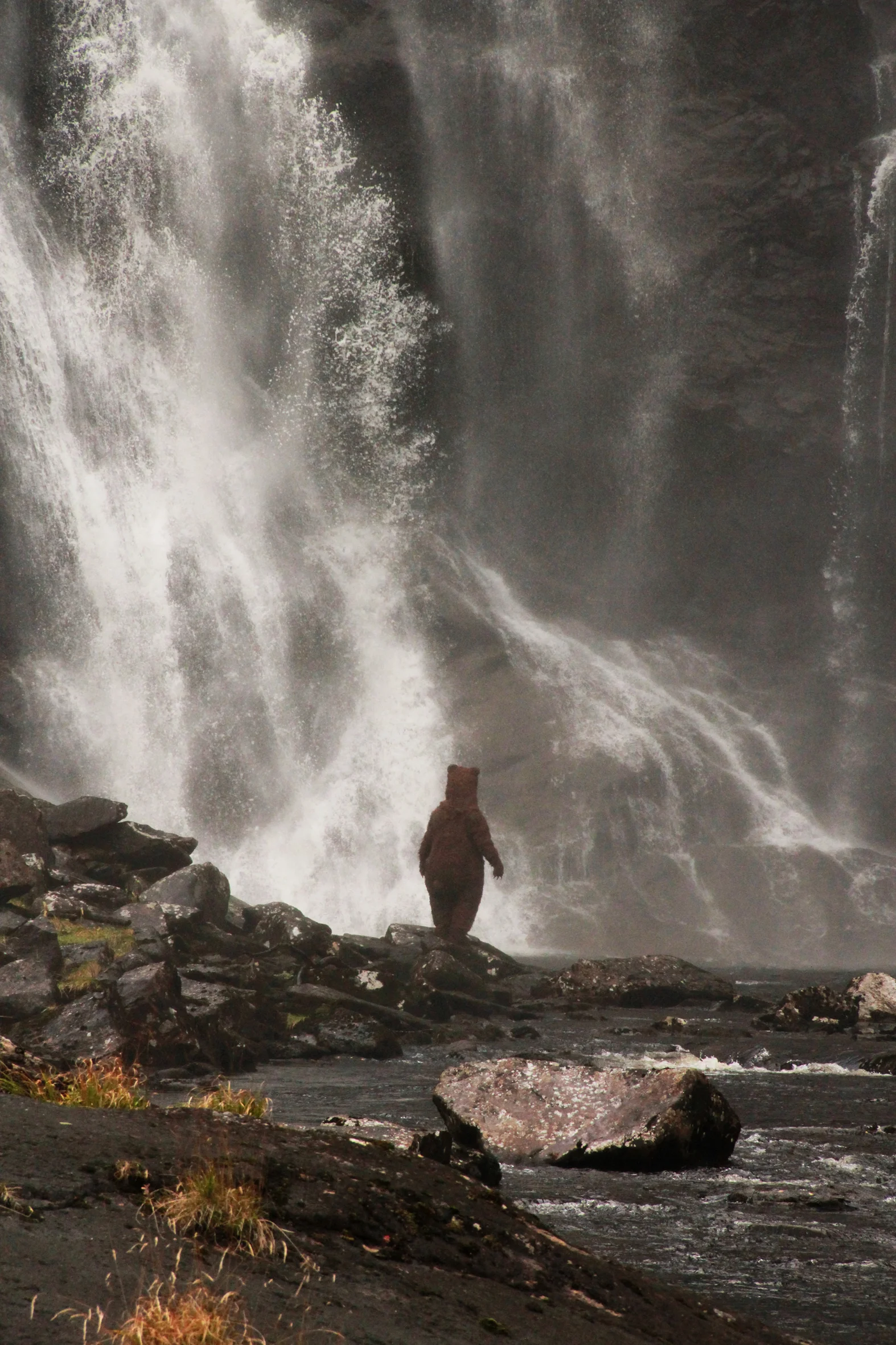   The Bear    - Photo Charlotta Tengroth  