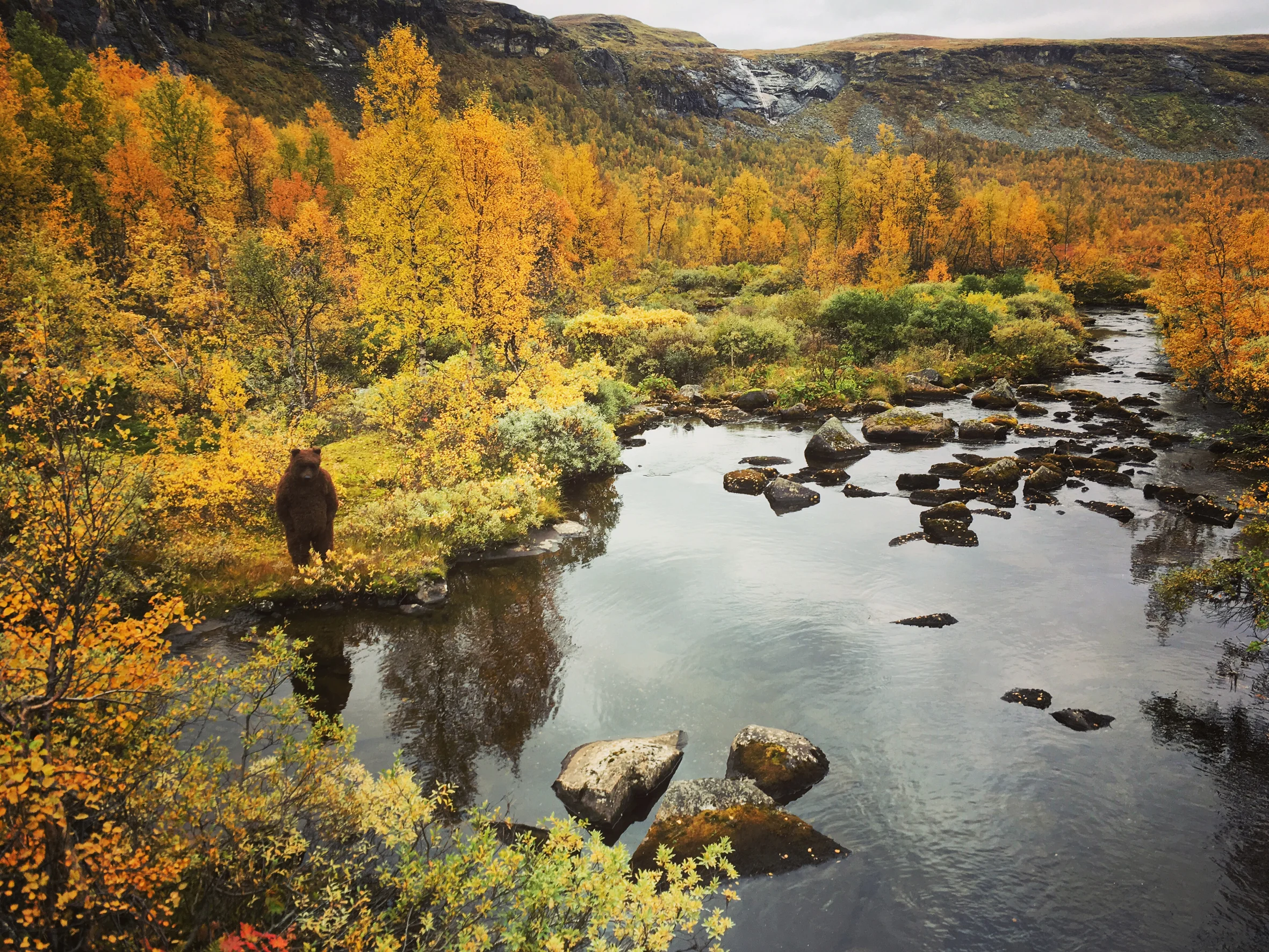    Elisabeth Grøtte Kolstad    - Photo Johannes Stjärne Nilsson  