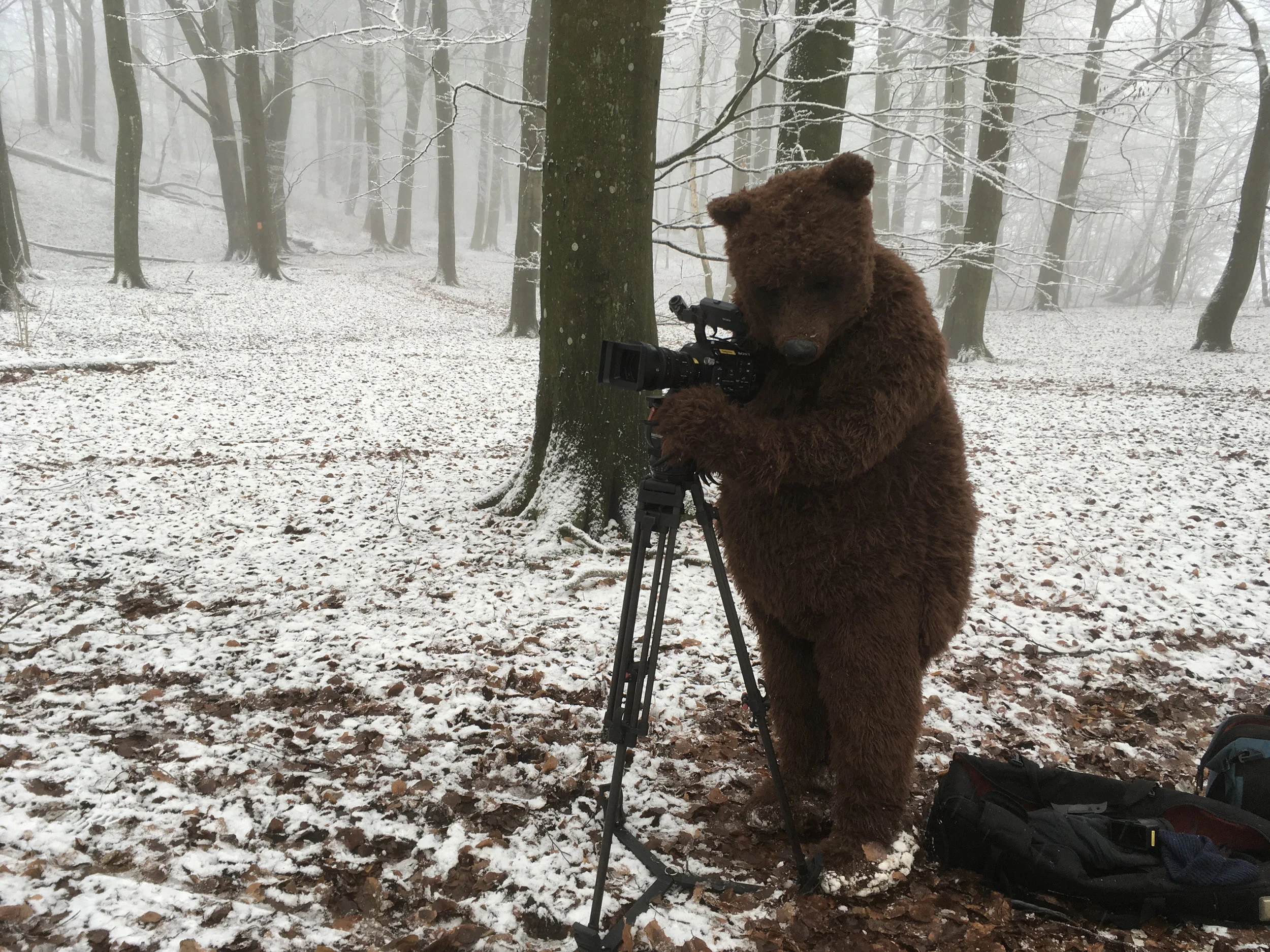    Johannes Stjärne Nilsson    - Photo Peter Frodin  