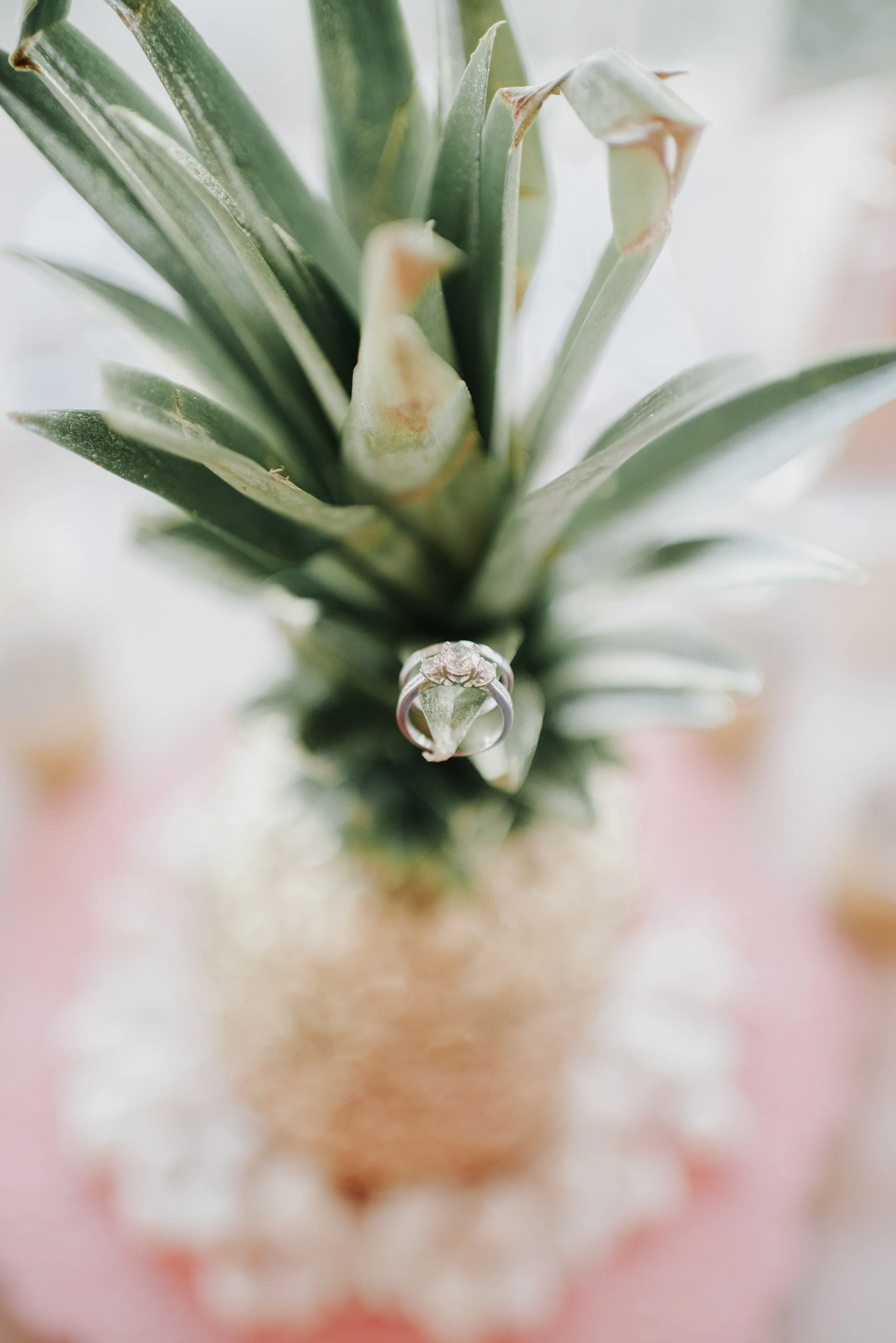 s15ring (1 of 1).jpg