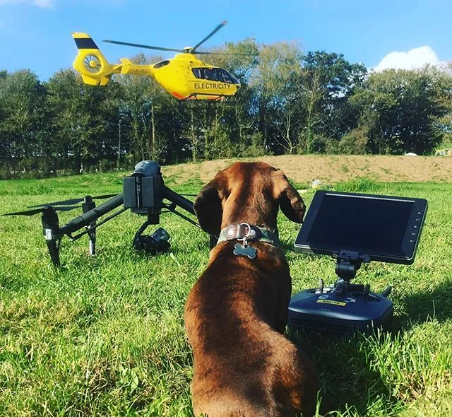 Busy day at the #helipad. My co-pilot was less enthused by the interruptions.
.
.
.
.
#dronestagram #droneoftheday #inspire2 #helicopter #droneporn #octobersun #outsideoffice #sausagedog #dachshundsofinstagram