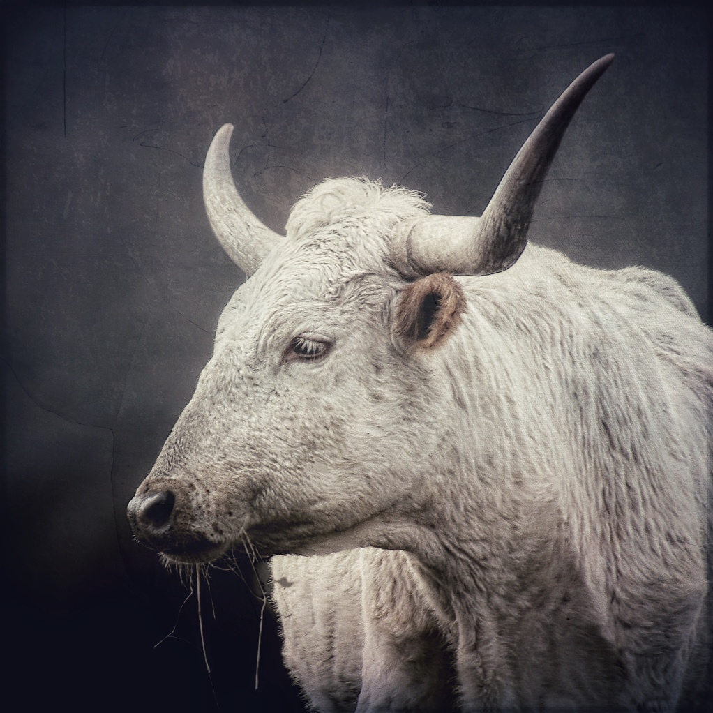 D4814664-A258-4F5F-8621-7D8C6A0D95B5.jpeg
