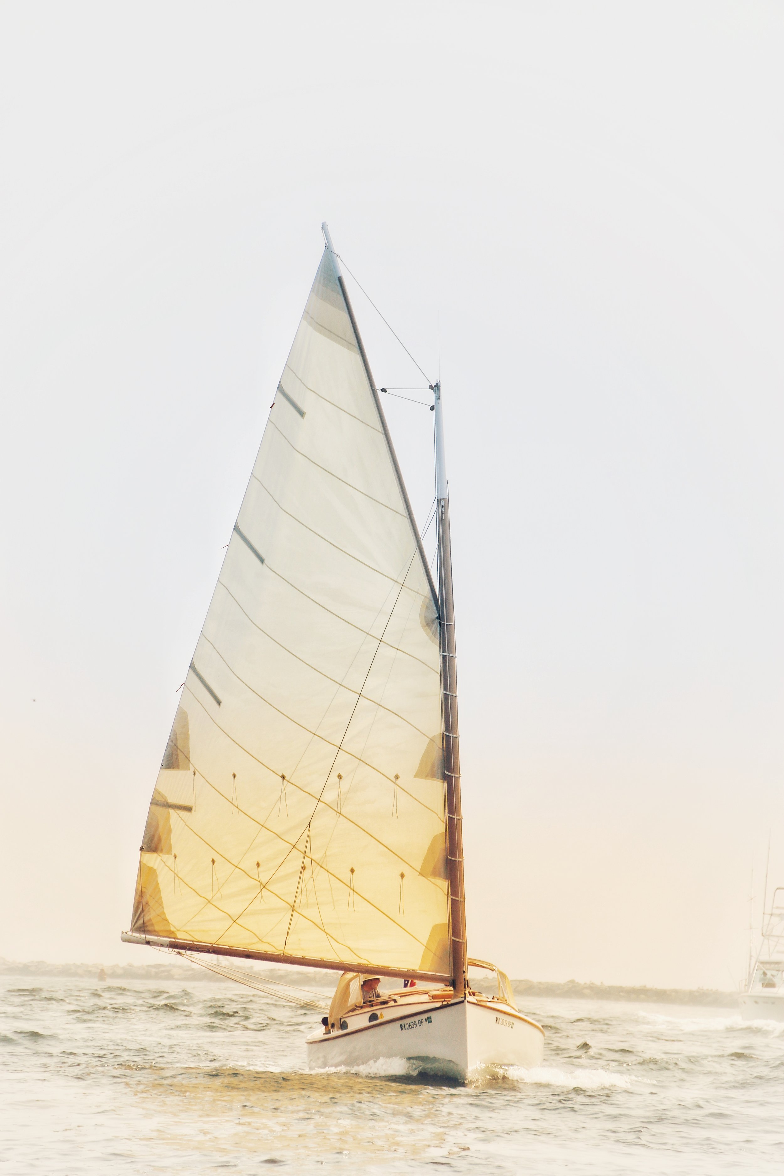 1A451A8C-BBD3-4F6C-A84B-614BE3A28CF3.jpeg