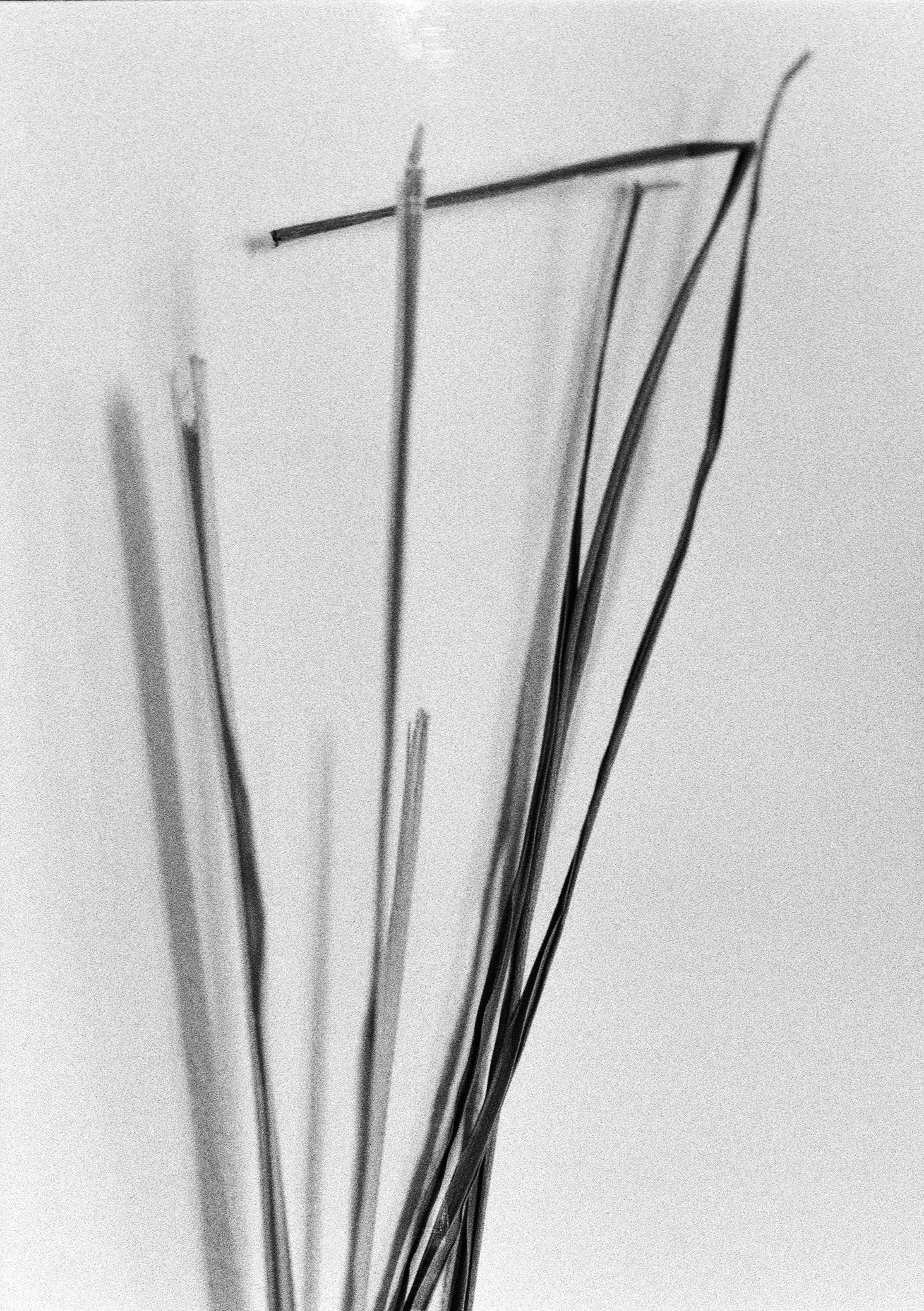 Tools Of Food