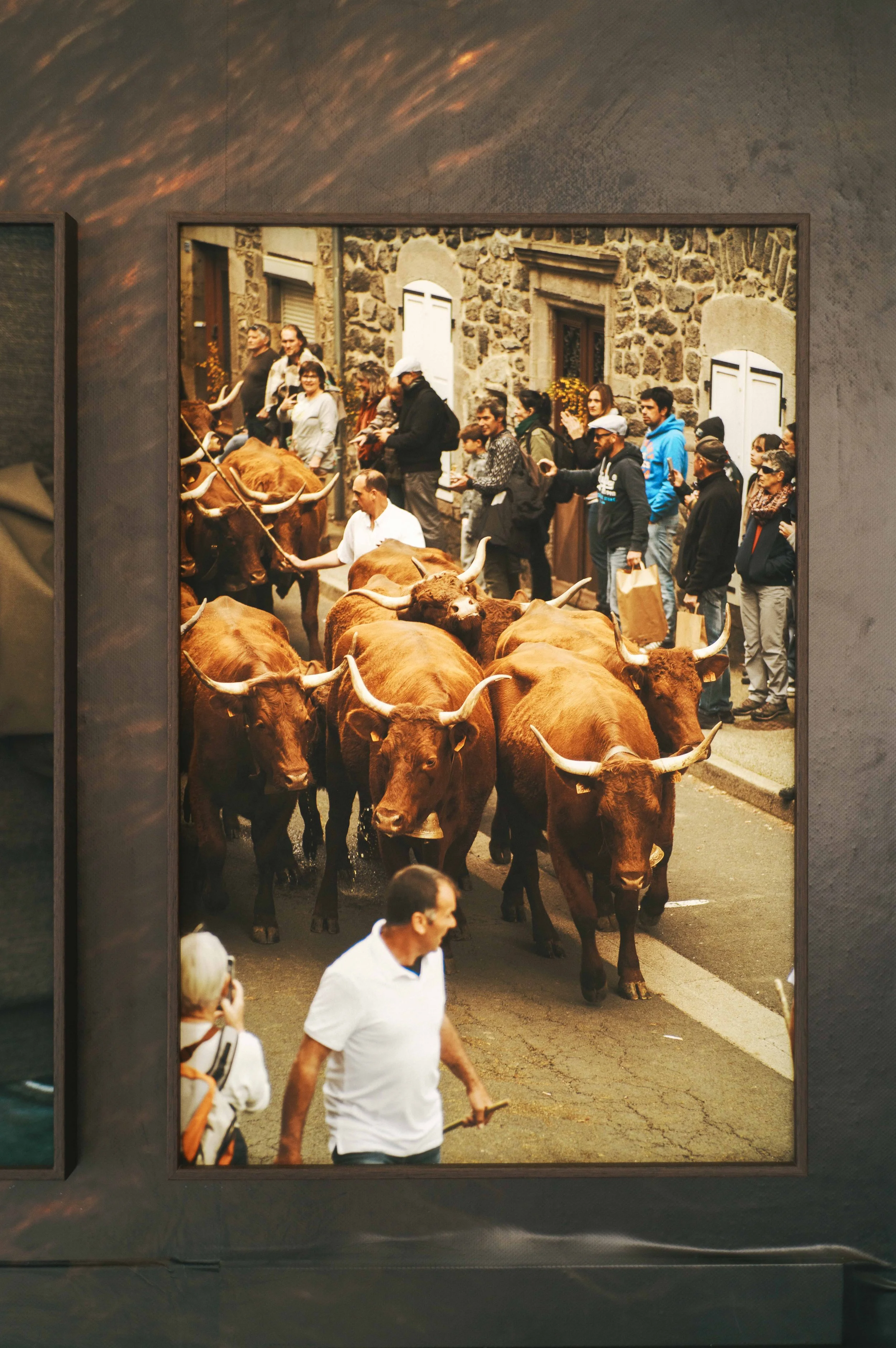 2026_07 SIGMA ARLES EXPOSITION-21.jpg