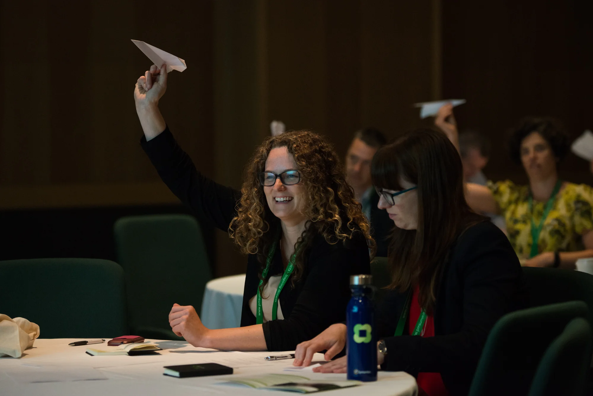 LOW RES-3933-FlyMeToTheMoon.JPG