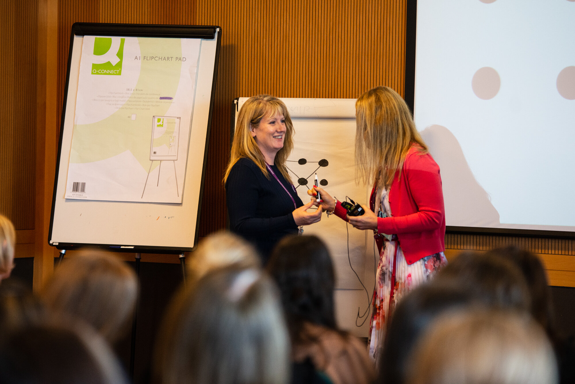 WiPM2019 Kirsten de Bouter Shillam1.JPG