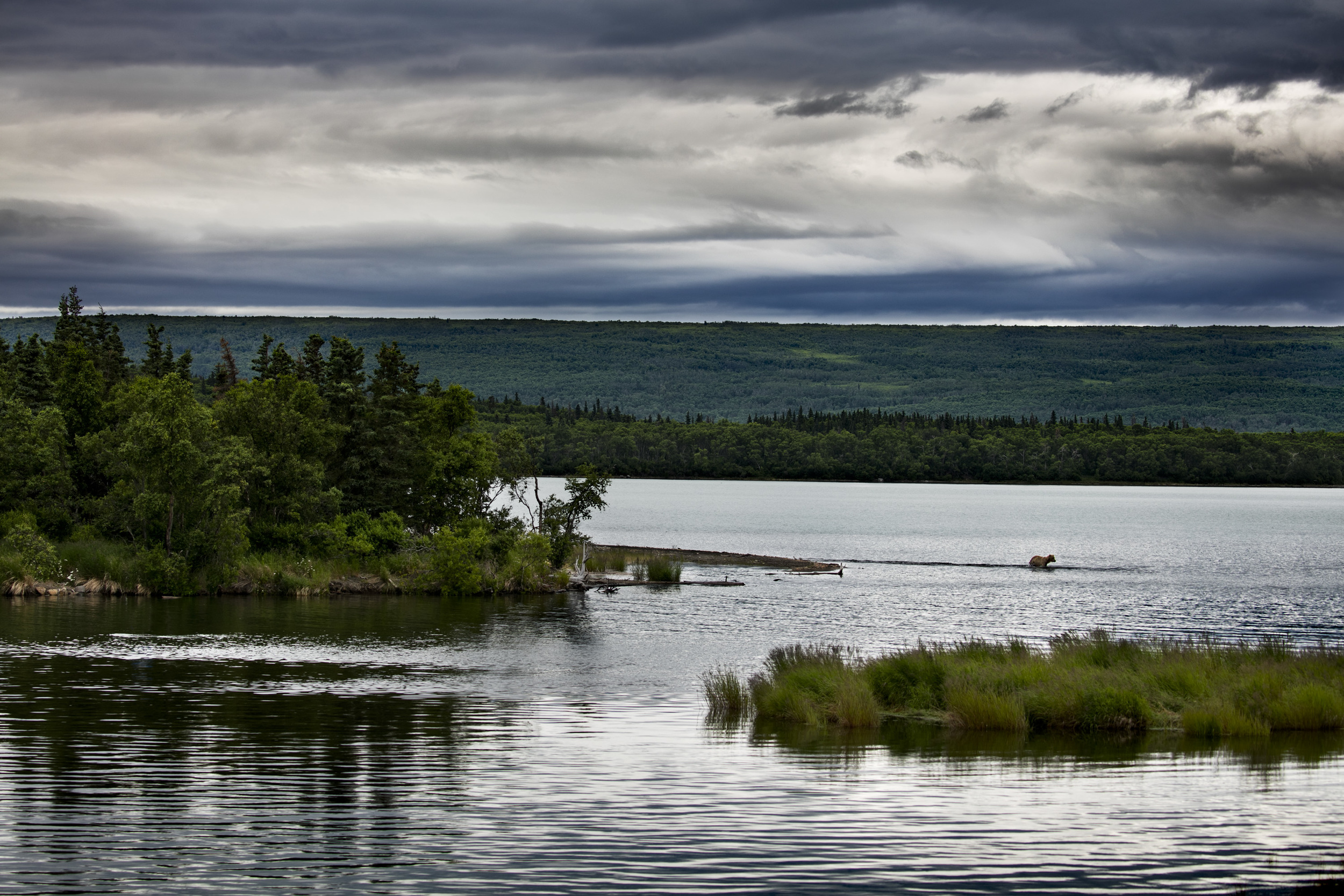 7V3A9302-Edit.jpg