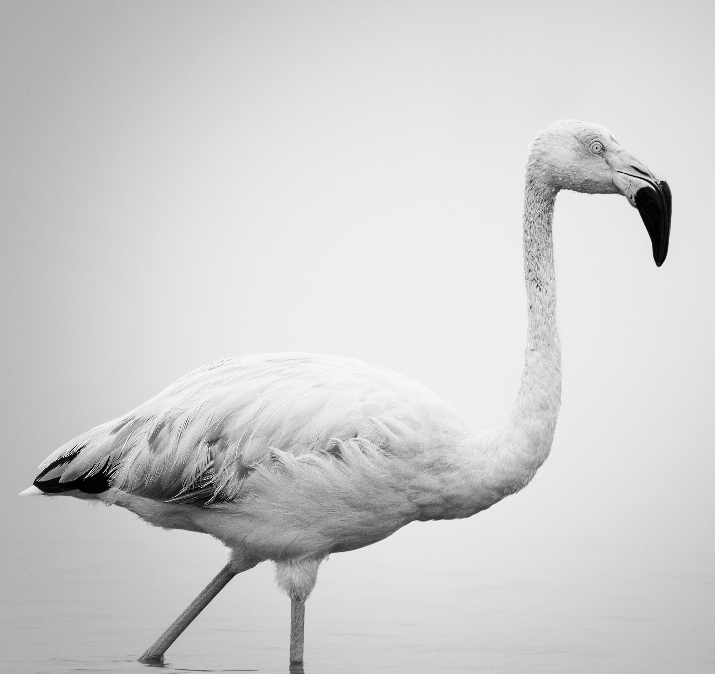_20A6710 .jpg