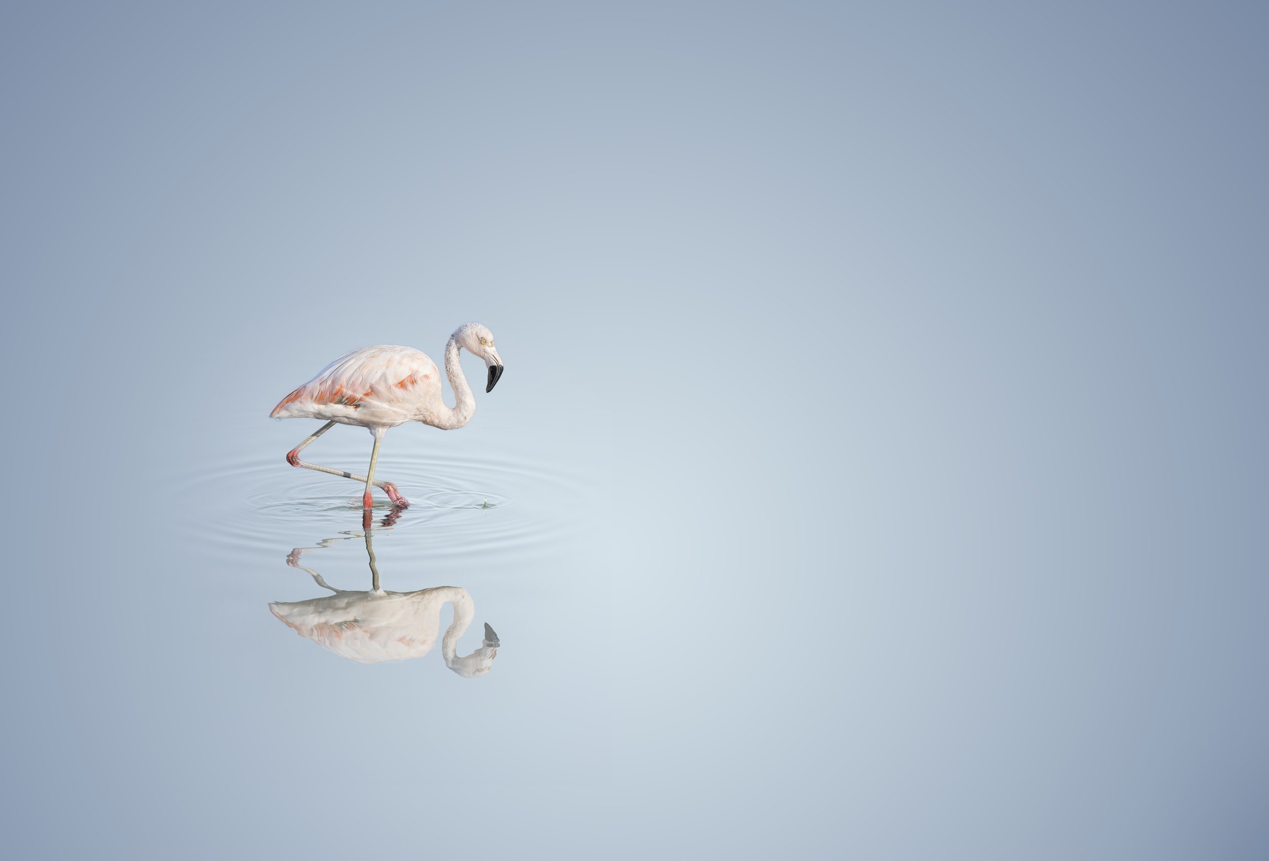 _20A8460.jpg