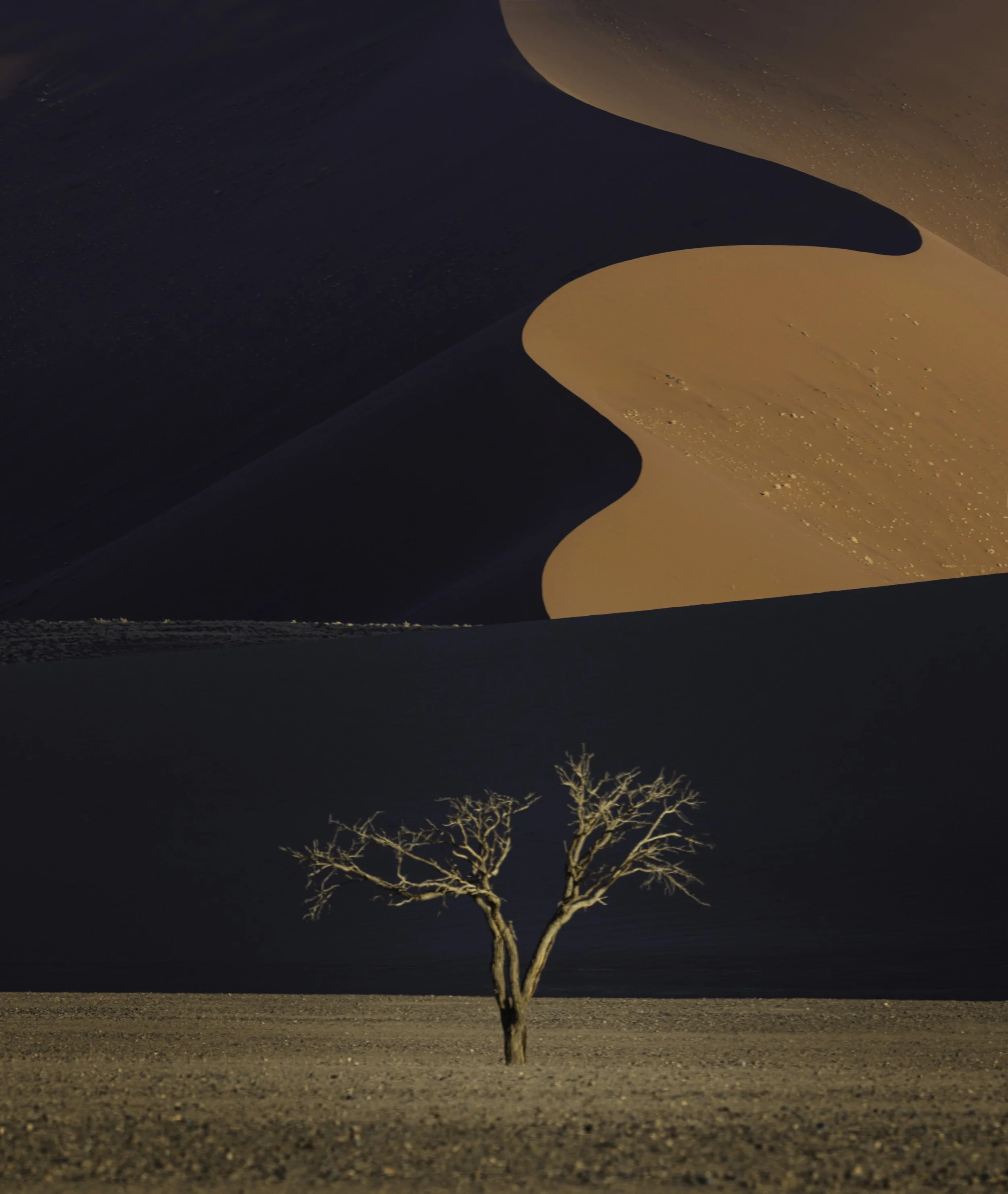 _20A2503-Edit copy.jpg