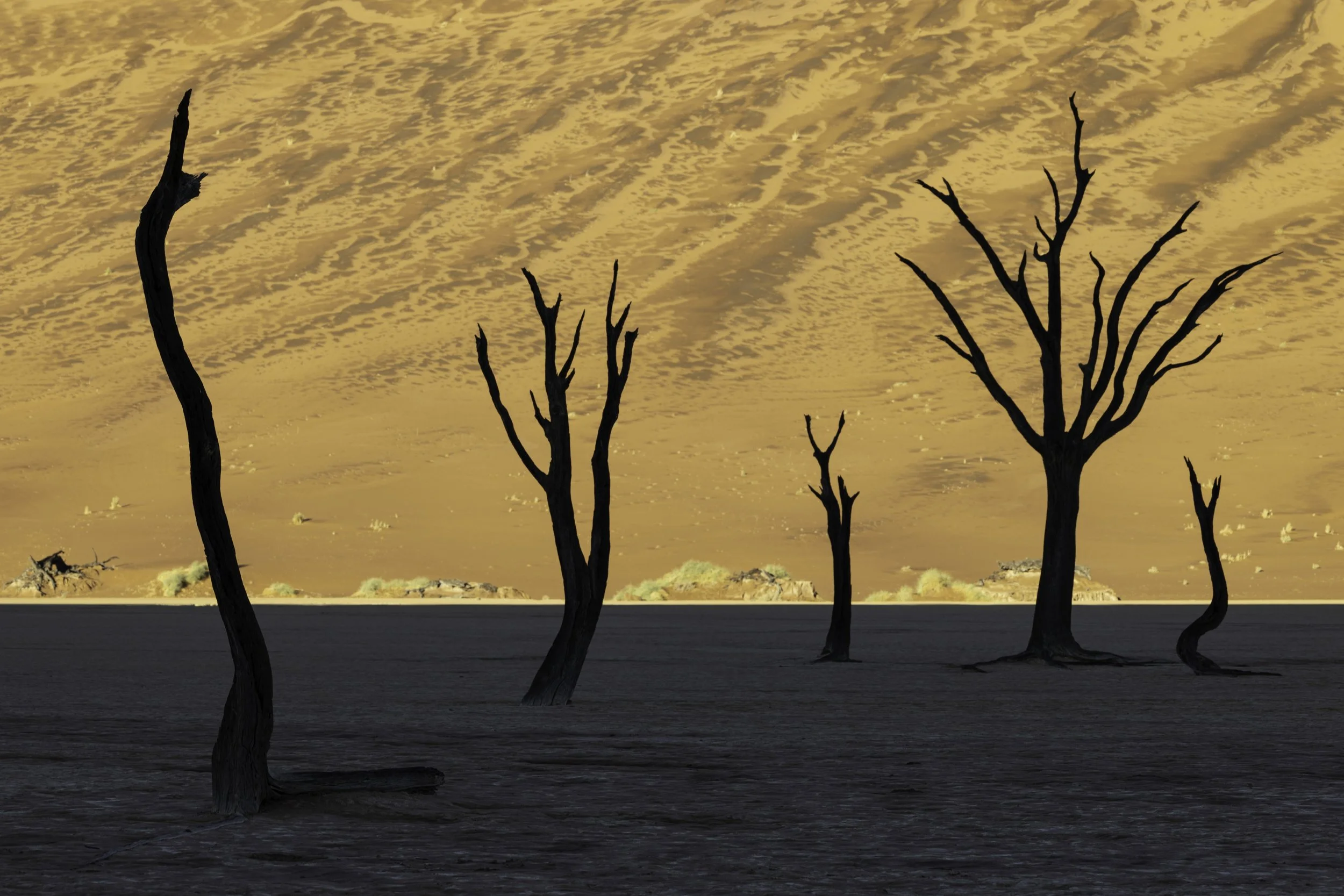 _20A2594-Edit copy.jpg