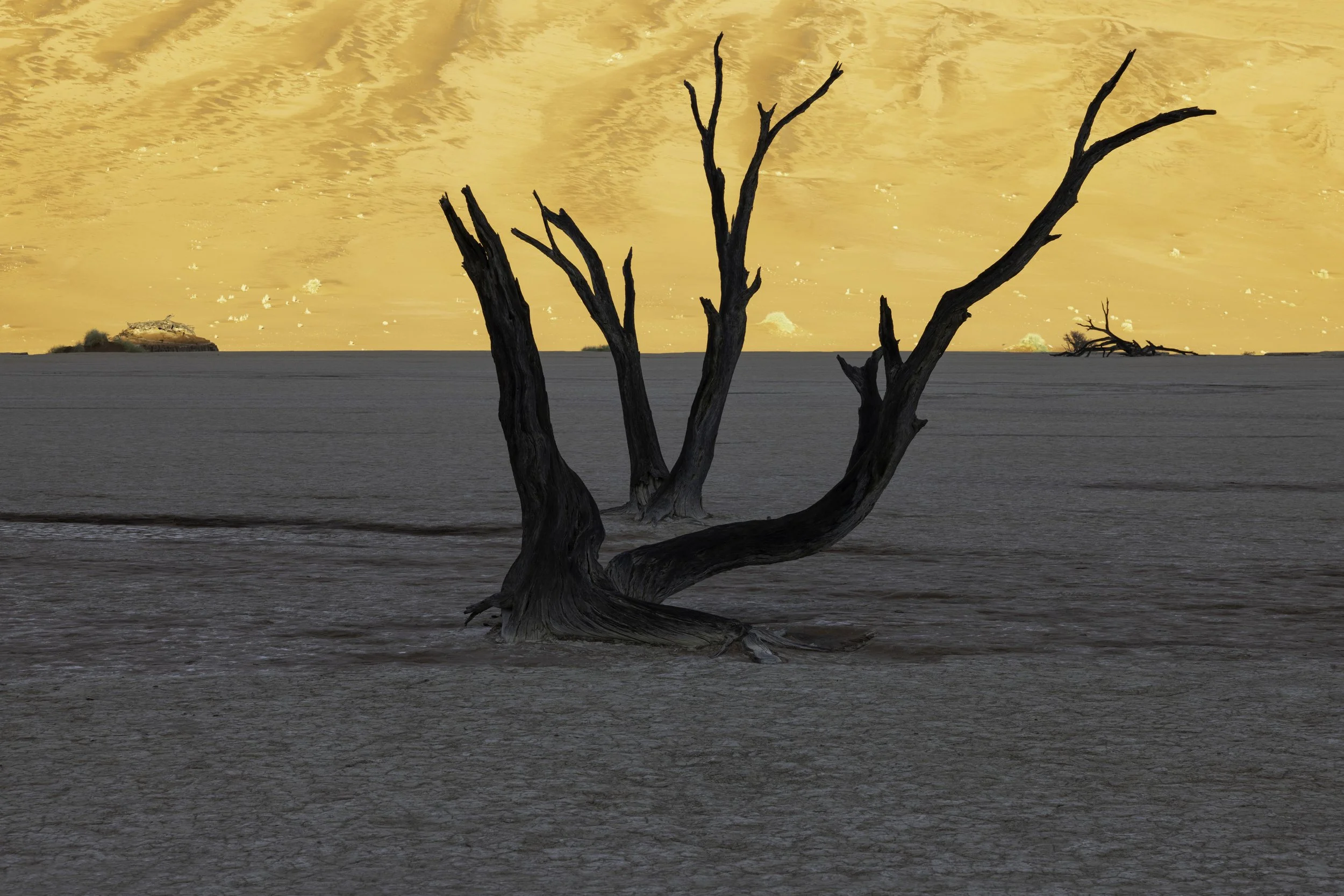 FP4A8536-Edit copy.jpg