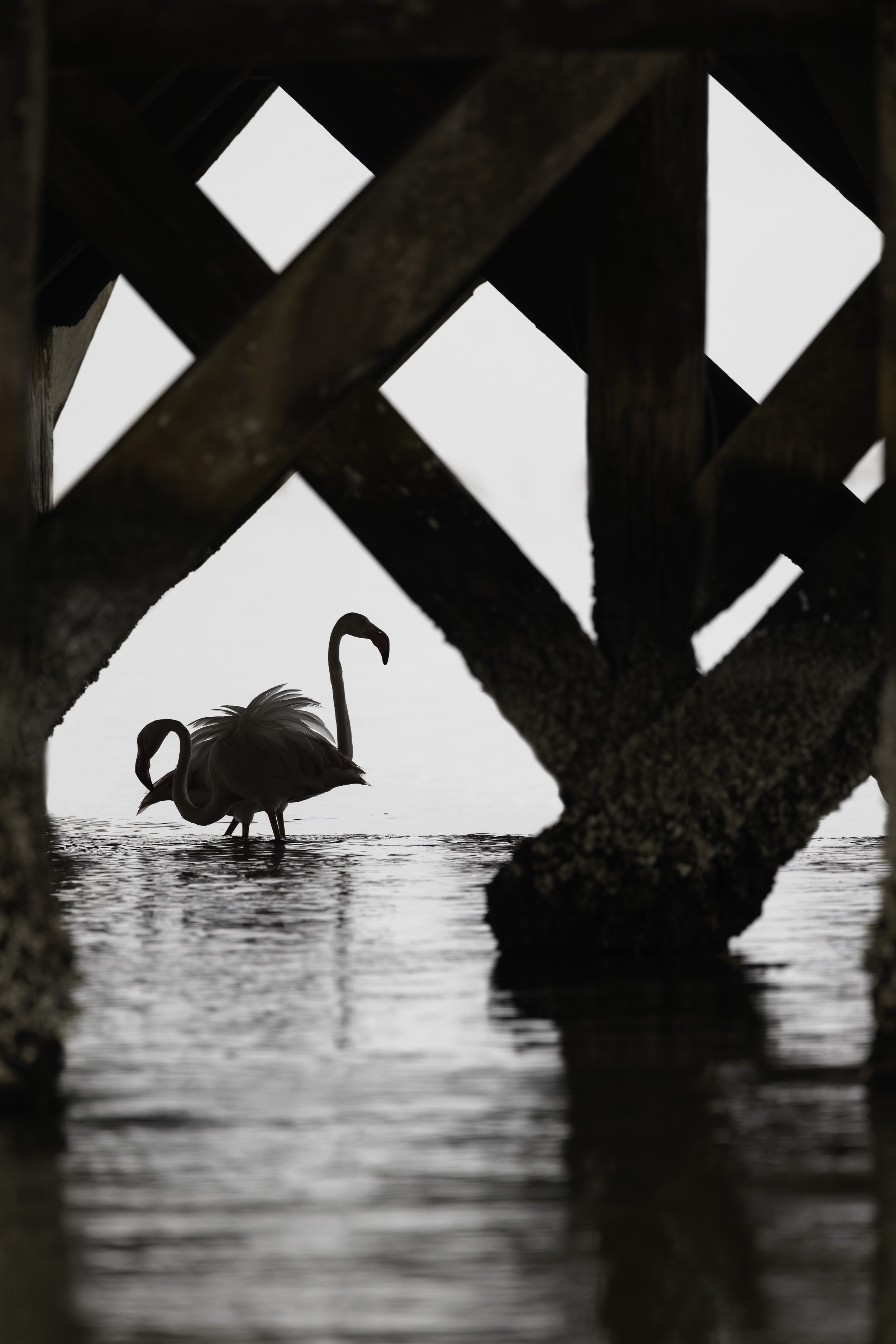 _20A1597-Edit copy.jpg