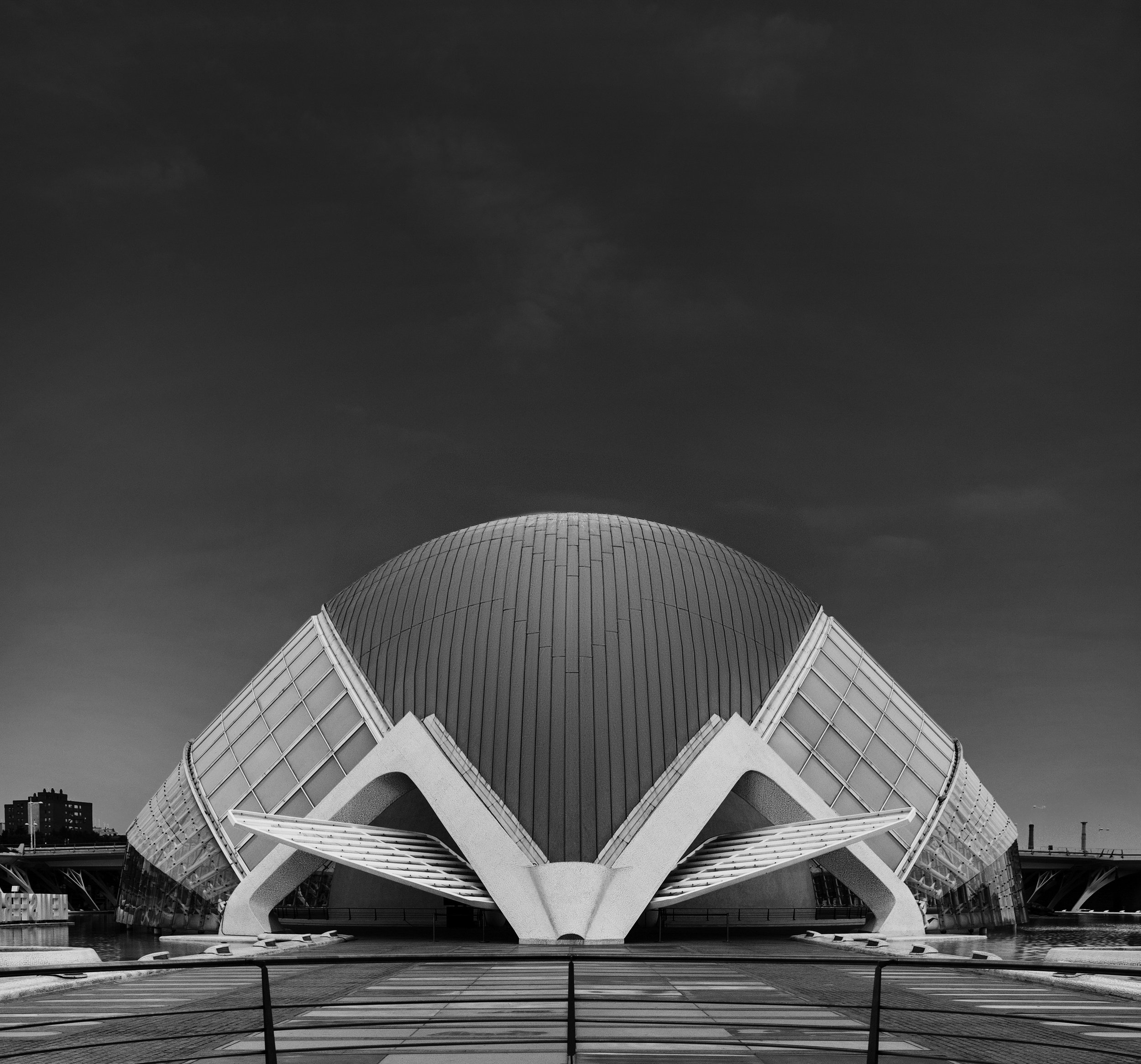 _20A4849.jpg