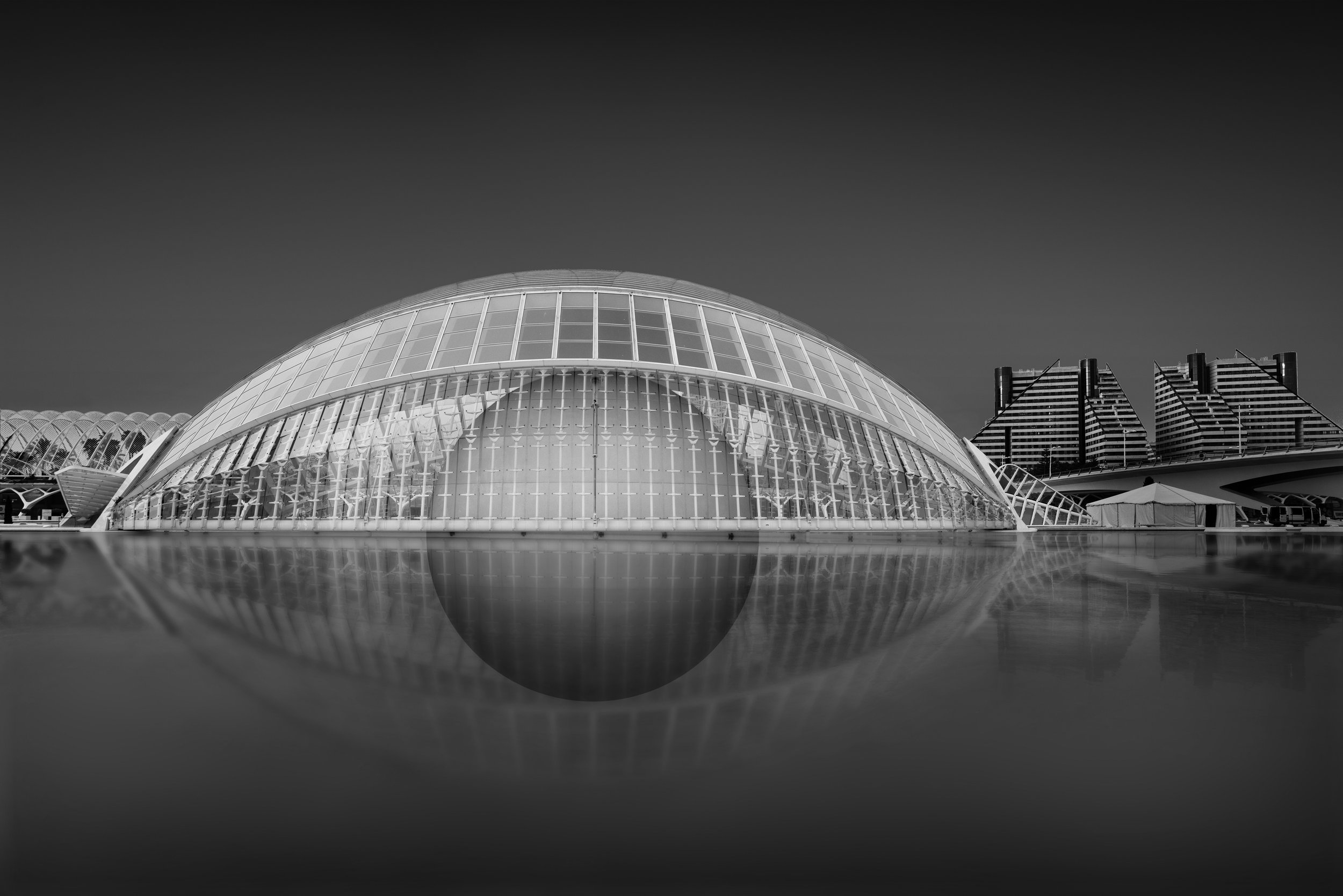 _20A4996.jpg