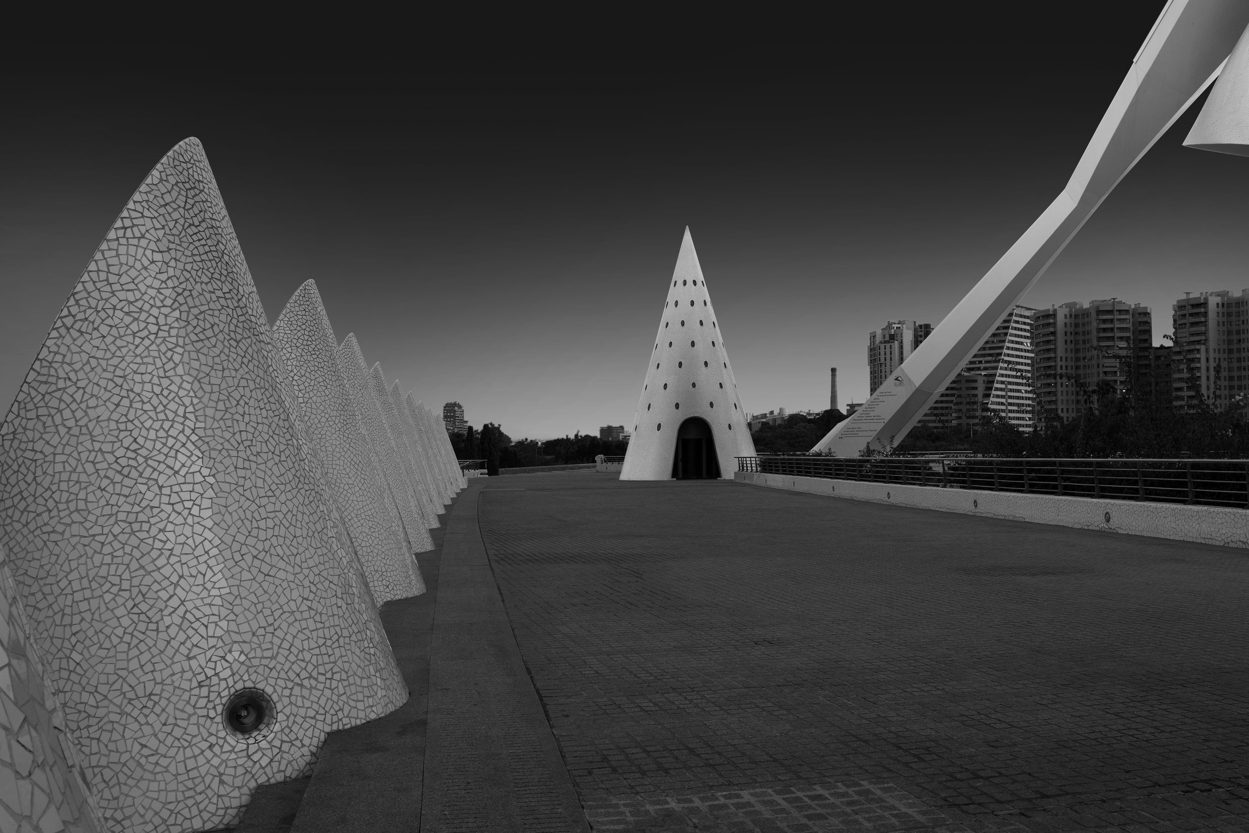 L1030388.jpg