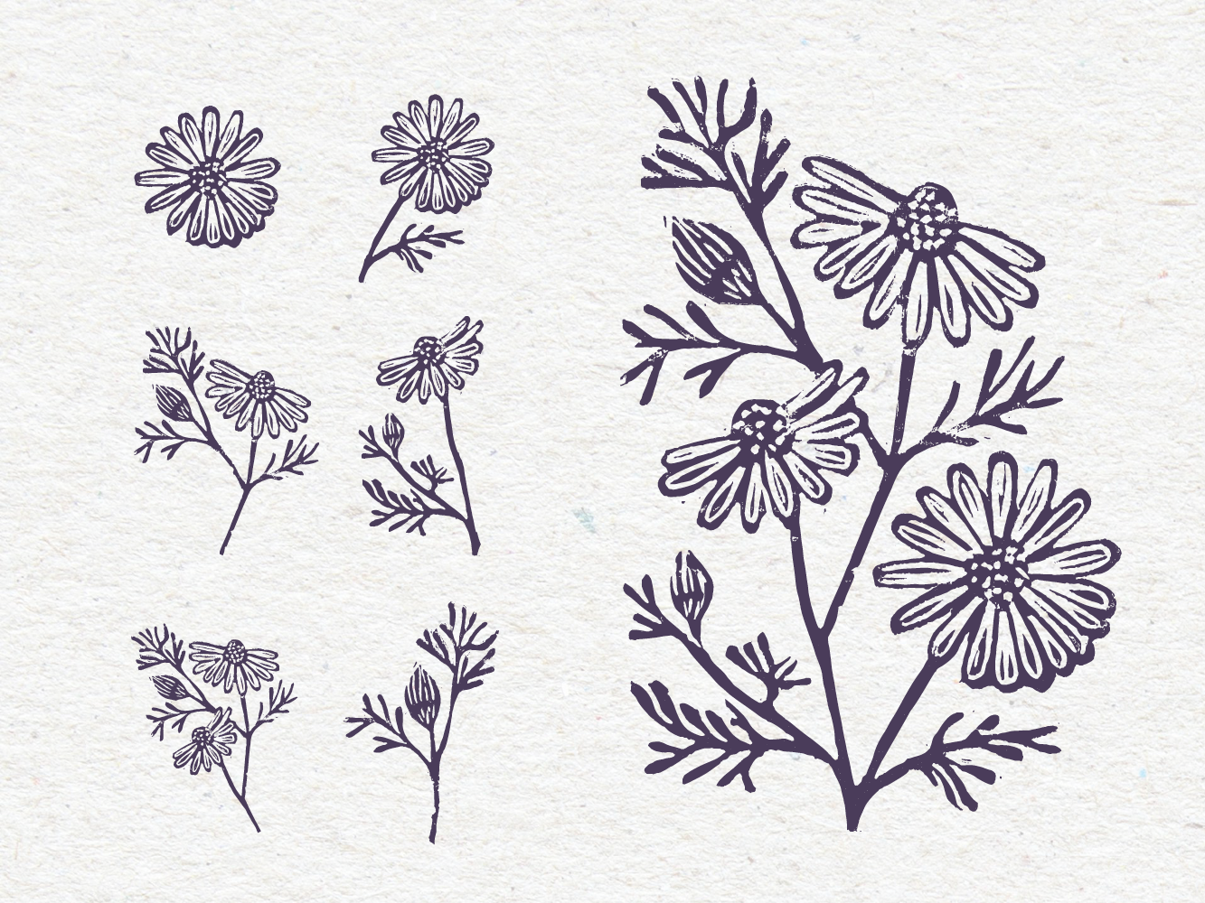 Web Katy Bradbury13.png