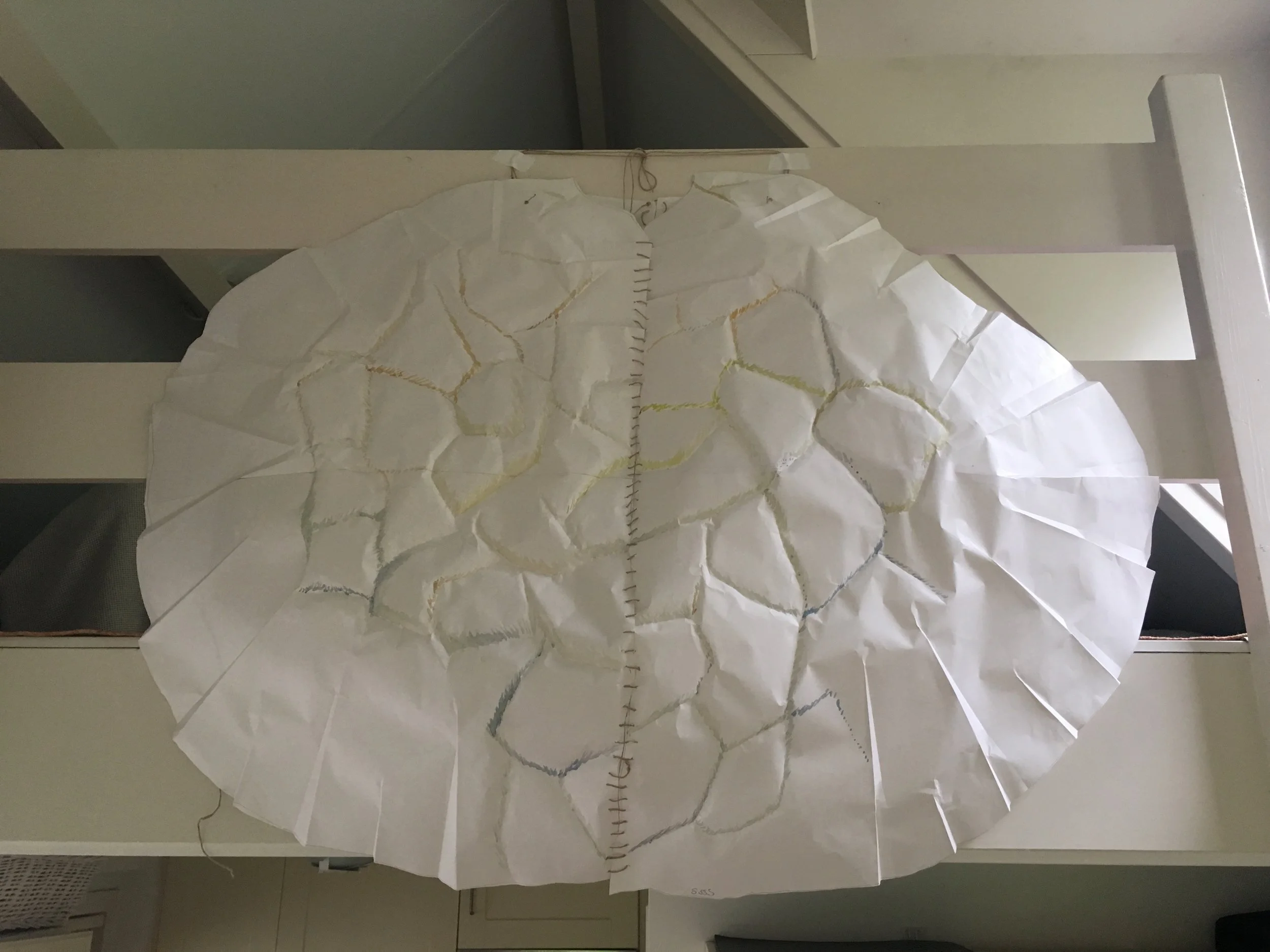 Lonesome George, 2017. Tortoise costume (2pcs) - paper, aquarelle, jute. 80x100cm