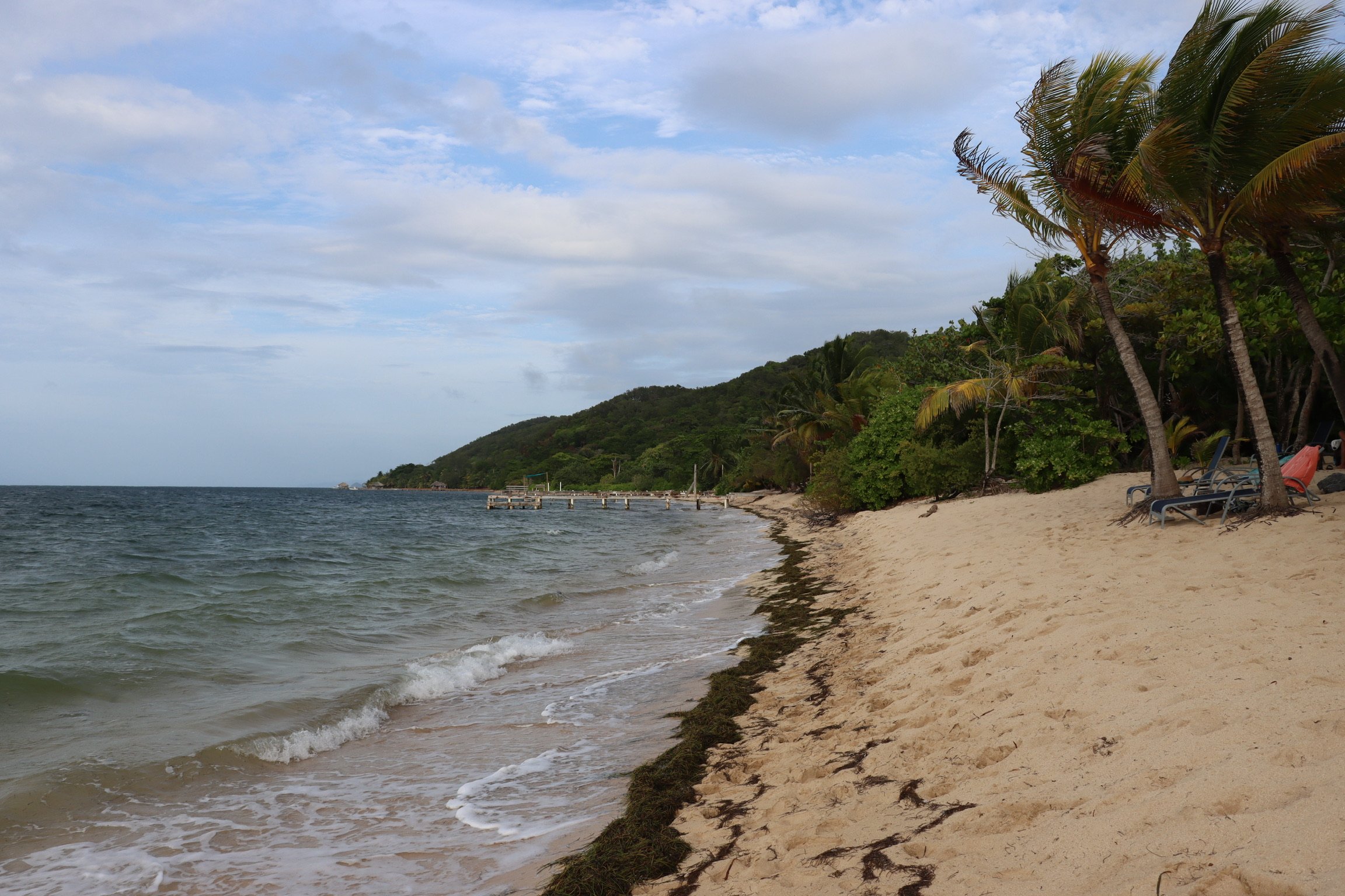 Root &amp; Renew: A Nourishing Retreat for Yoga Teachers to Ground, Dream and Flourish